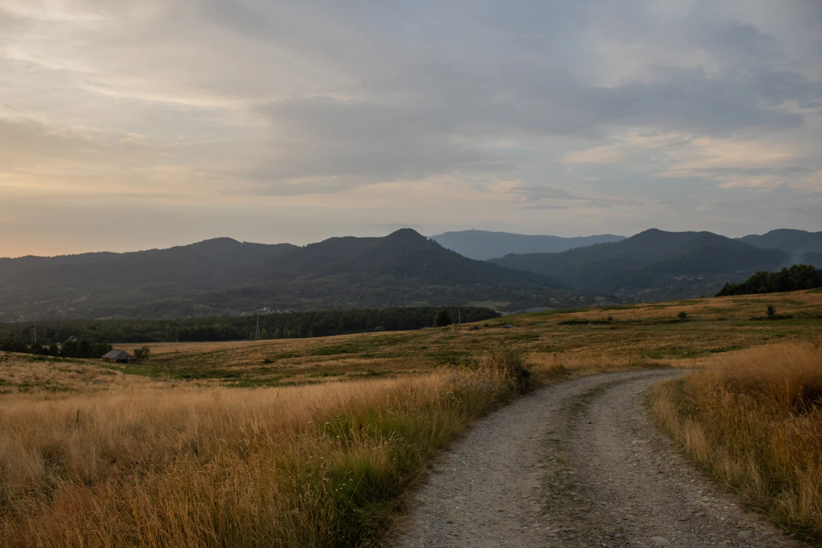 A dirt road winding through golden grassland toward distant hills