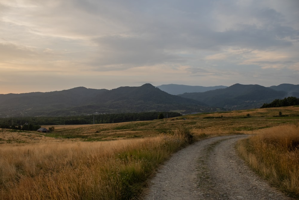 a dirt road in the middle of a grassy field