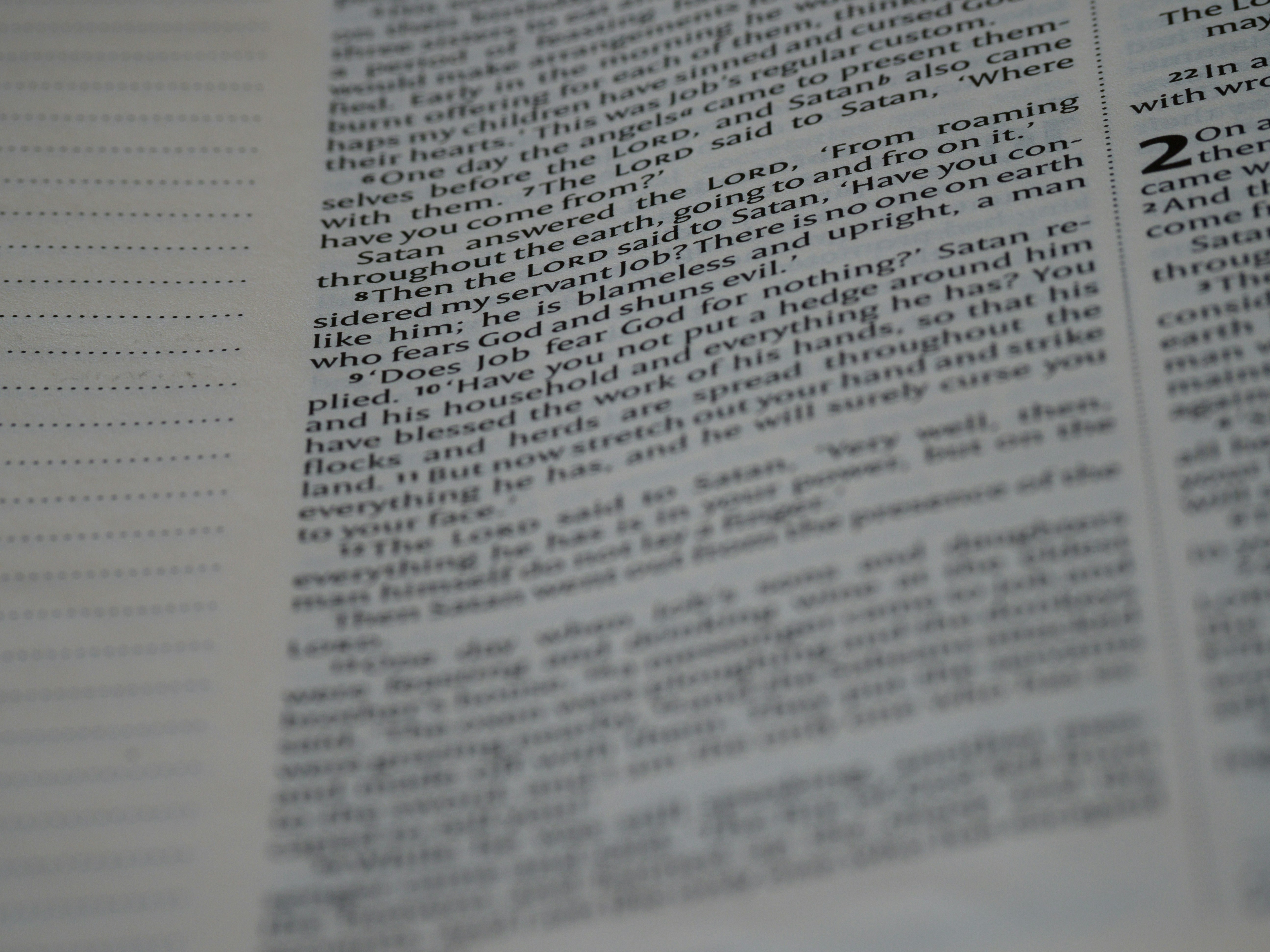 close up, bokeh, macro, blur, blurred background, close focus, bible, old testament, hebrew bible, christian, judaism, history, text, reading, bible study, devotions, text, NIV, New International Version, type, typography, canon, christianity, holy scripture, holy bible, scripture, old testament, hebrew bible, esther, tanakh, ketuvim, book of job, job, אִיּוֹב, theodicy, satan, the accuser, הַשָּׂטָן, 
