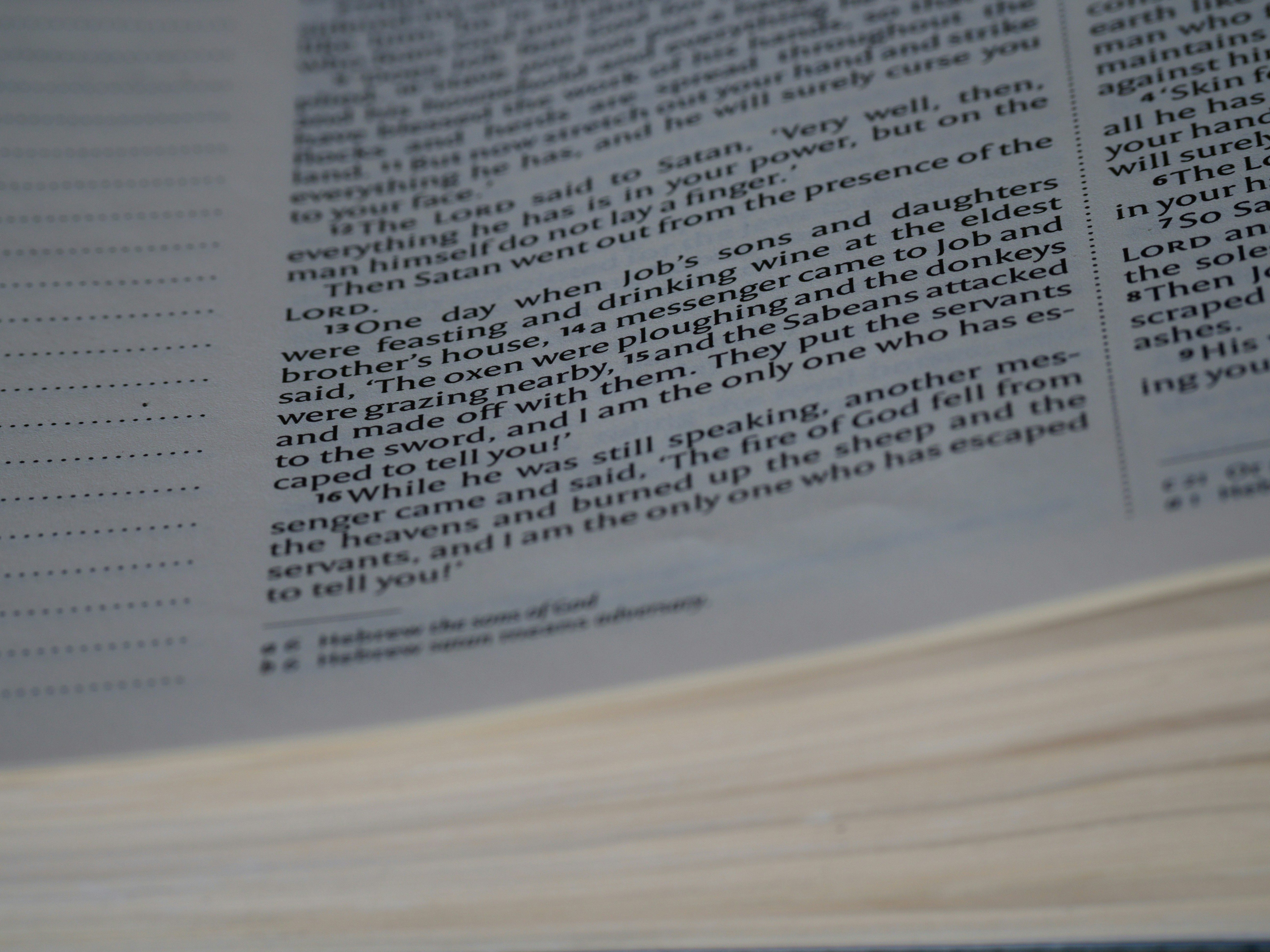 Photo by brett_jordan