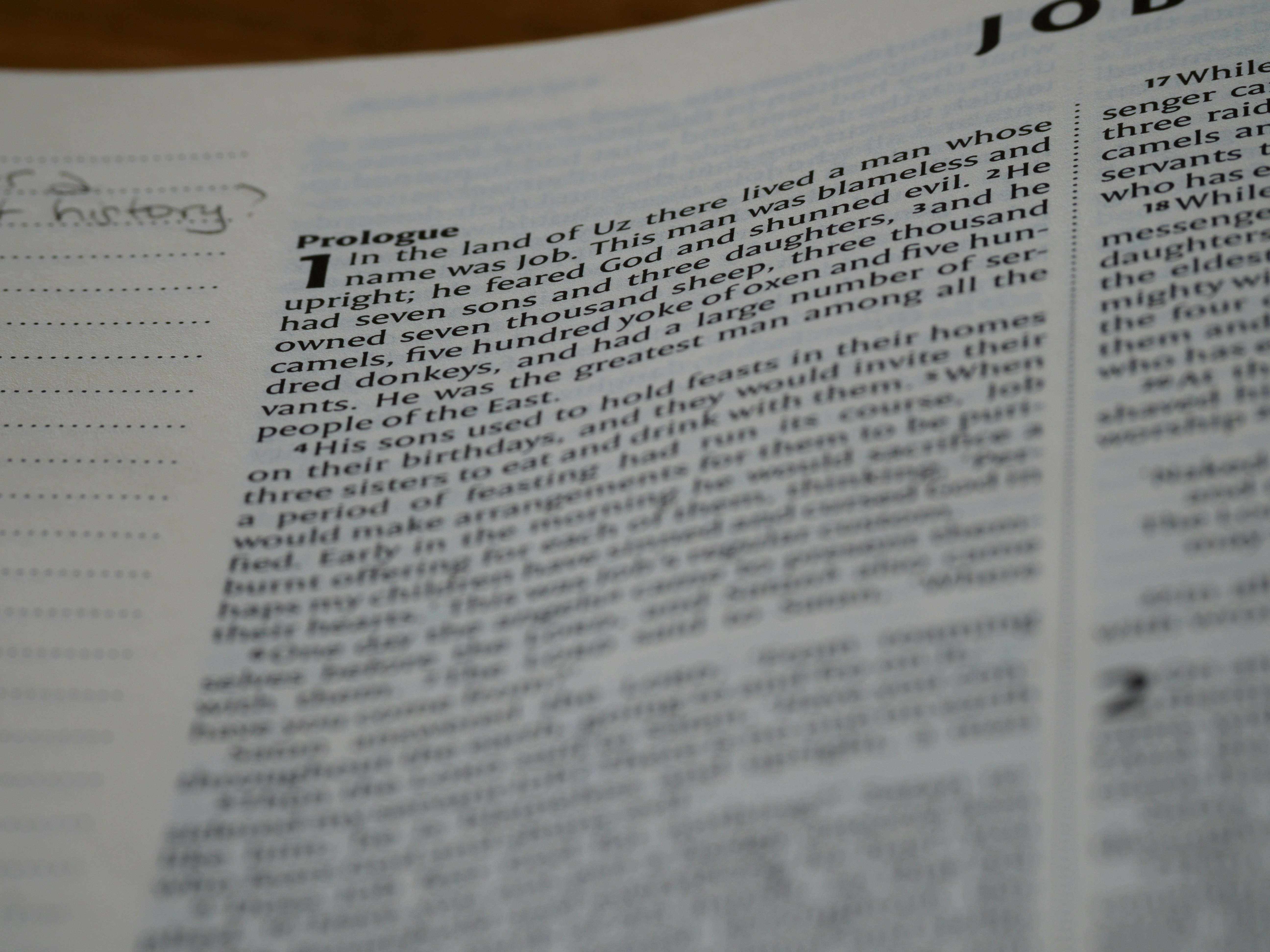 close up, bokeh, macro, blur, blurred background, close focus, bible, old testament, hebrew bible, christian, judaism, history, text, reading, bible study, devotions, text, NIV, New International Version, type, typography, canon, christianity, holy scripture, holy bible, scripture, old testament, hebrew bible, esther, tanakh, ketuvim, book of job, job, אִיּוֹב, theodicy, satan, the accuser, הַשָּׂטָן, <br/>
