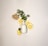 A neatly arranged composition featuring slices of lemon, fresh green leaves, a piece of ginger root, and a white bottle, all placed against a light background. The layout creates a refreshing and natural aesthetic.