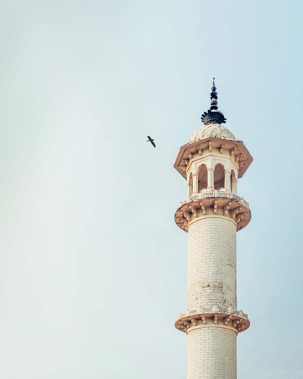 a tall tower with a bird flying over it