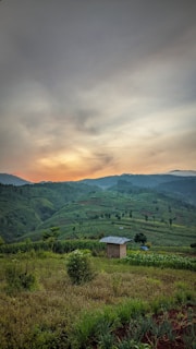 A serene landscape of lush green hills with a small agricultural field in the foreground. A modest building with a corrugated metal roof stands solitary among the greenery. The sky above is painted in soft hues of orange and gray, likely capturing the moment of sunrise or sunset.