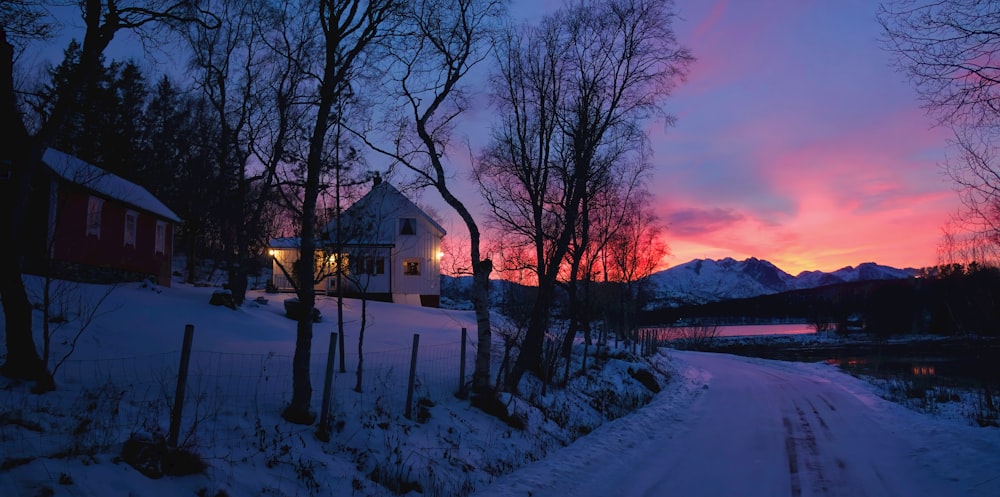 a snow covered road leading to a house