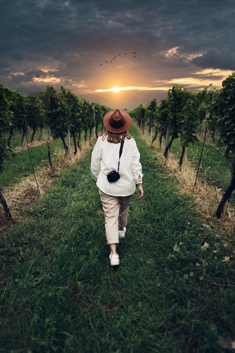 a person walking down a path in a field