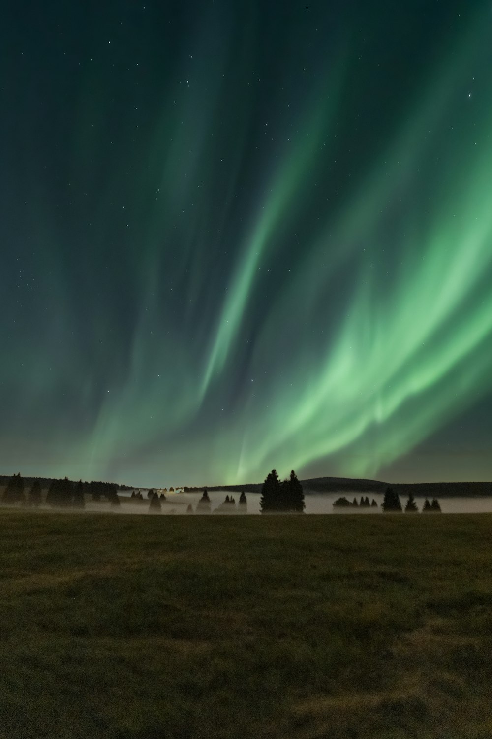 a green and blue aurora bore is in the sky