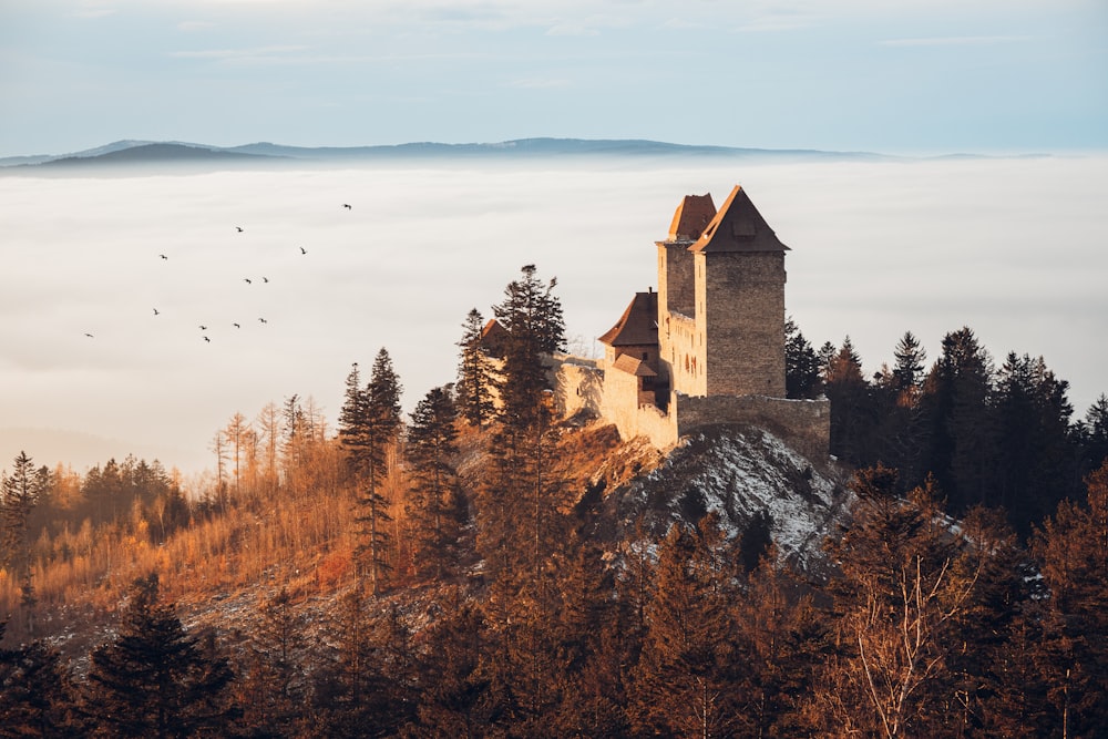 um castelo no topo de uma colina cercada por árvores