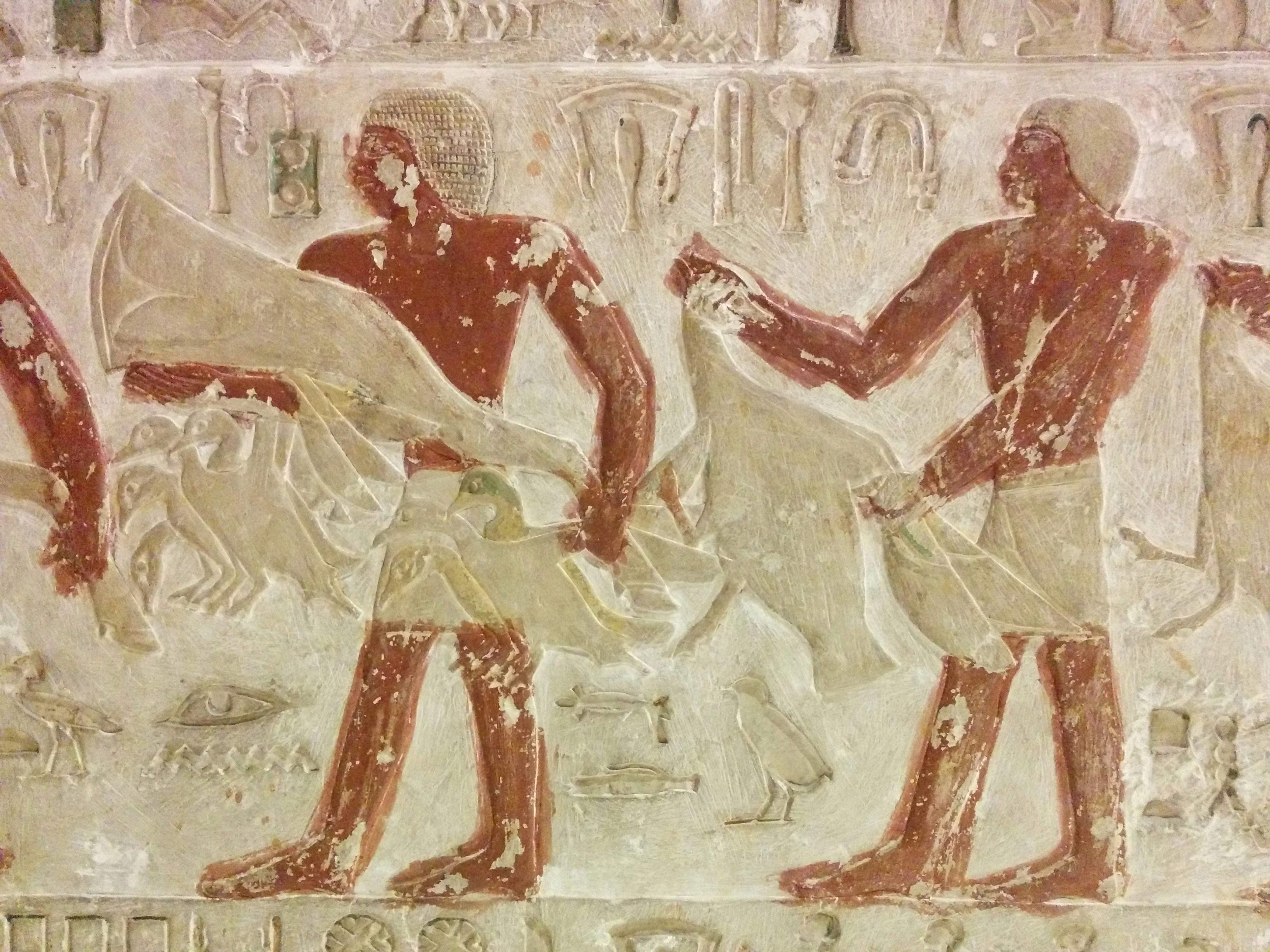 What This Means for Understanding Human Nature (image credits: unsplash)