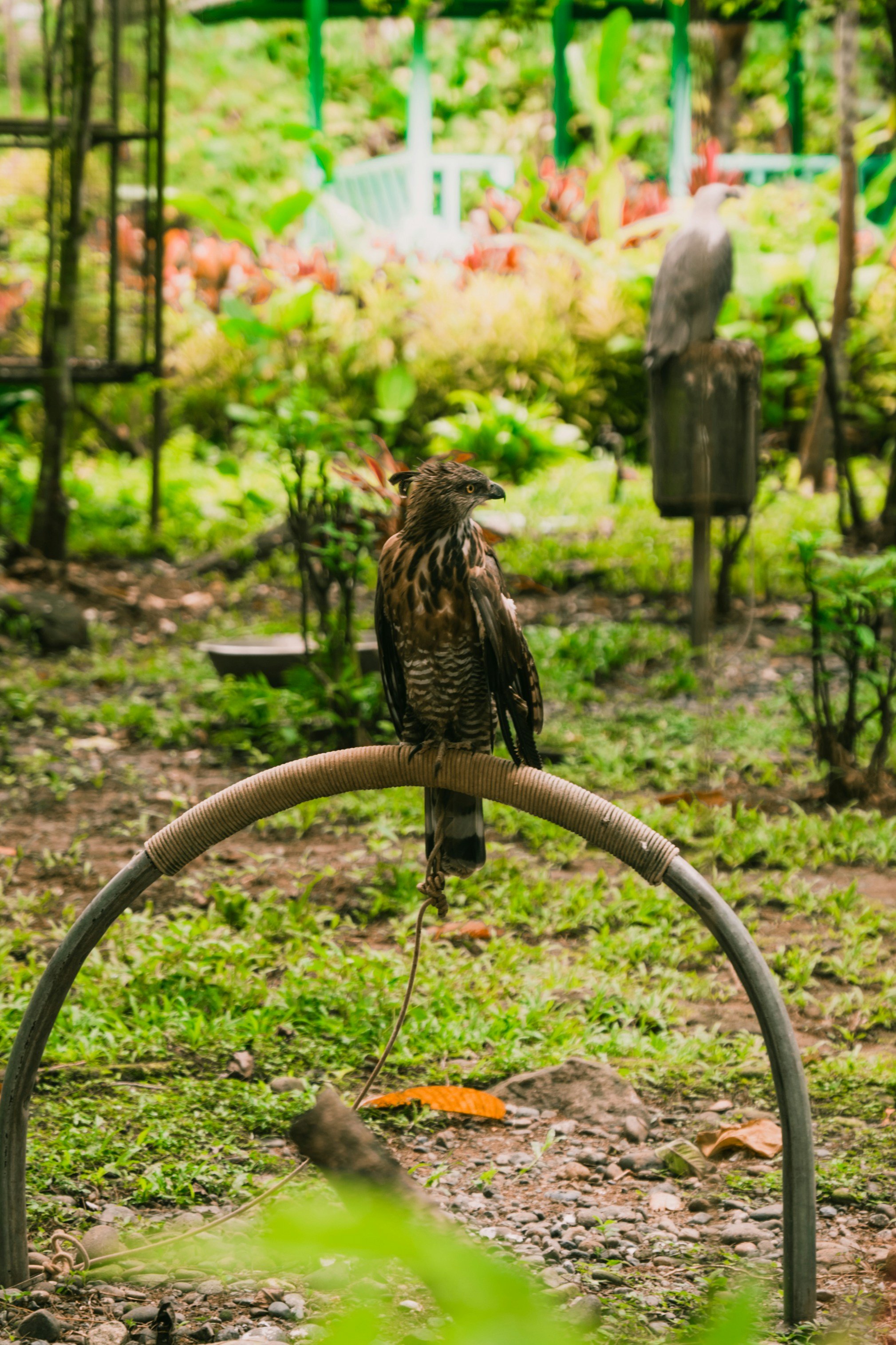 Photo by itadakidesu