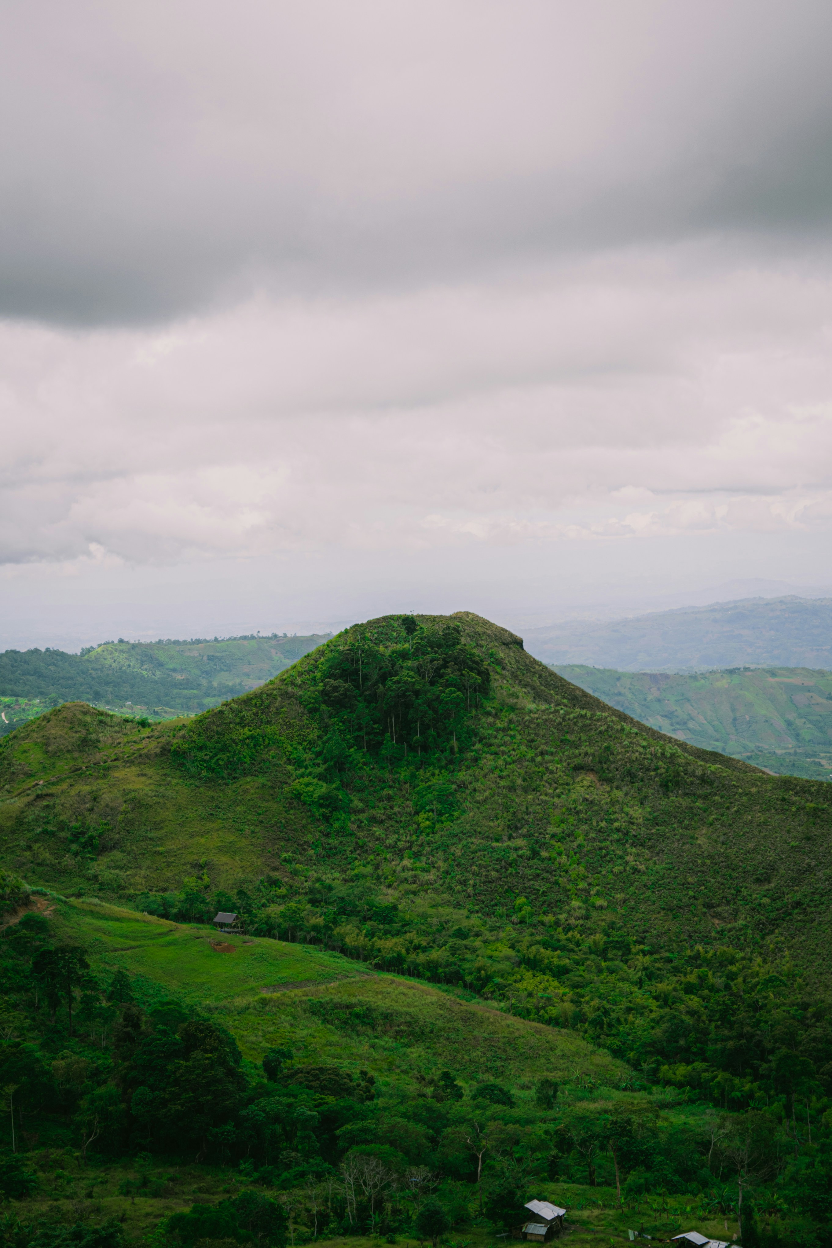 Photo by itadakidesu