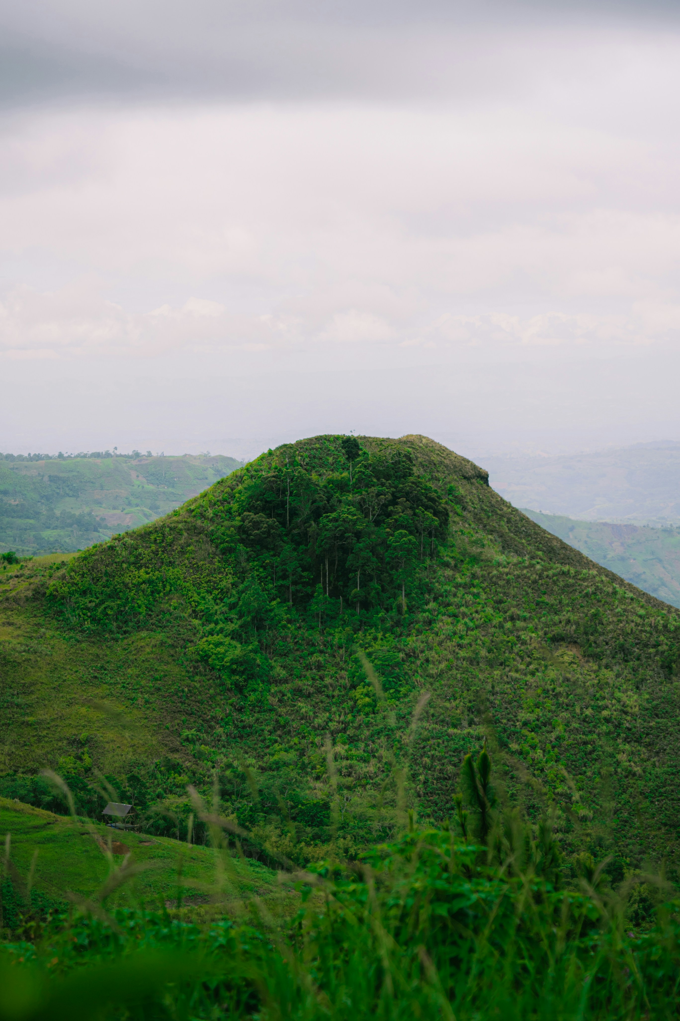 Photo by itadakidesu