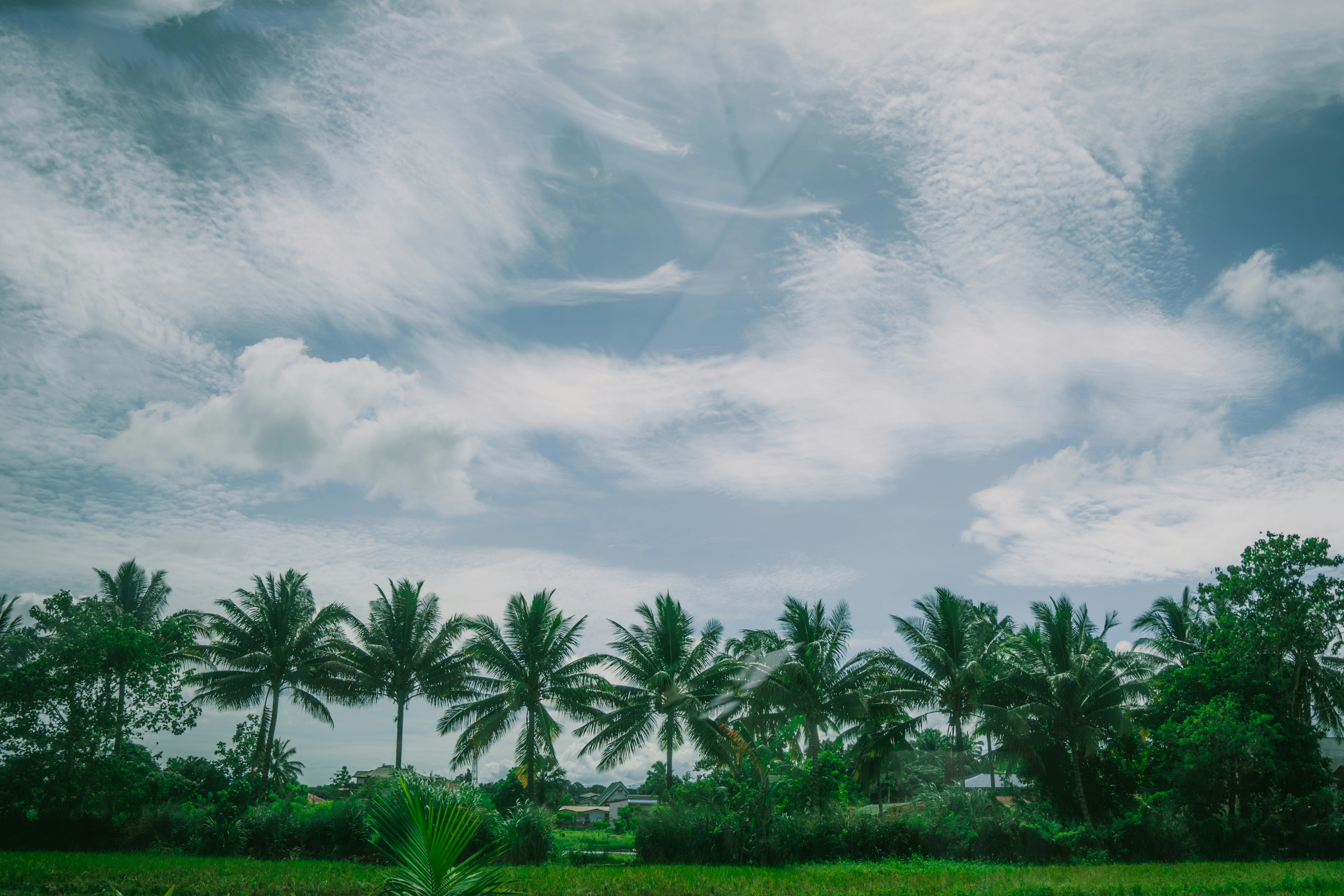 Photo by itadakidesu