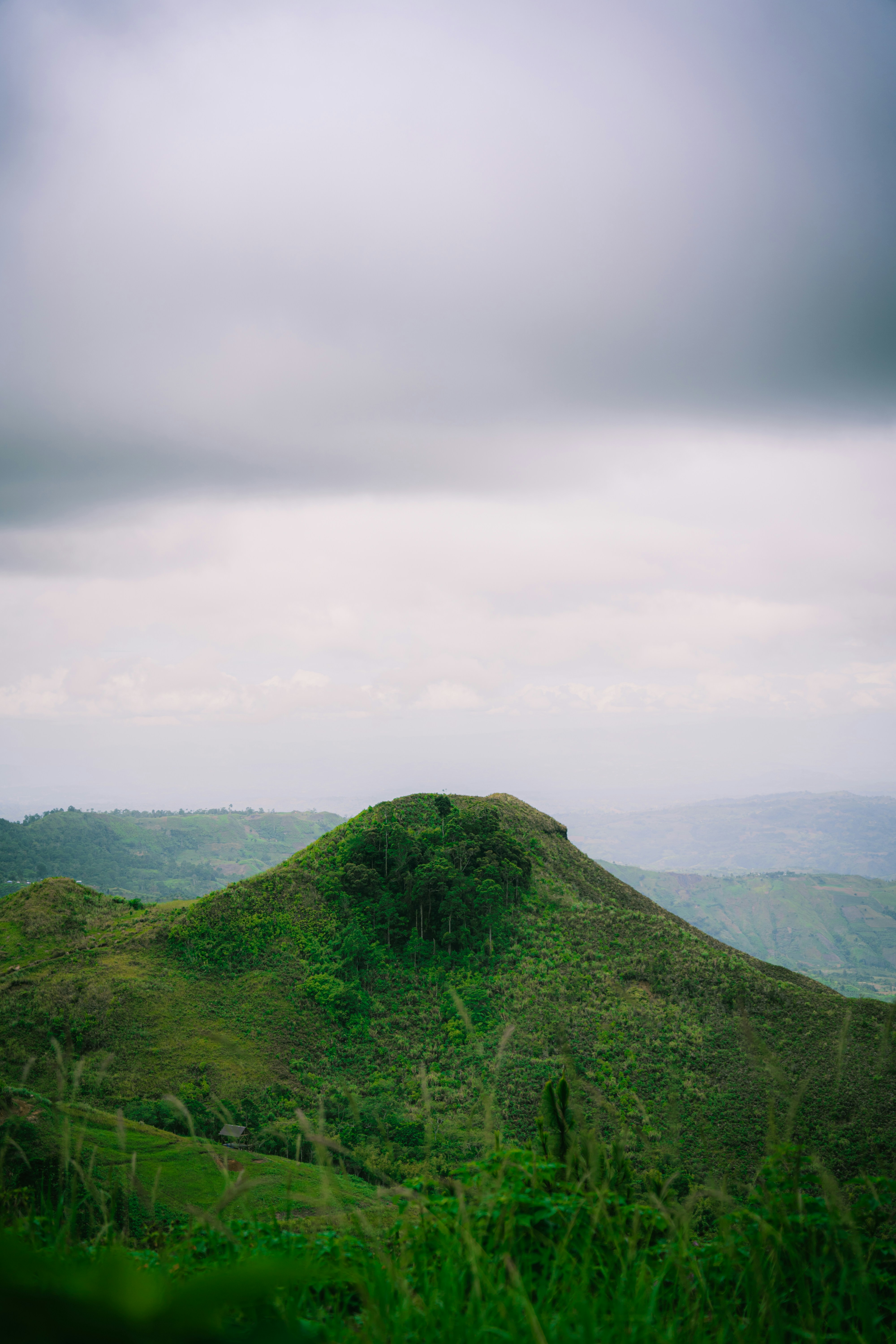 Photo by itadakidesu