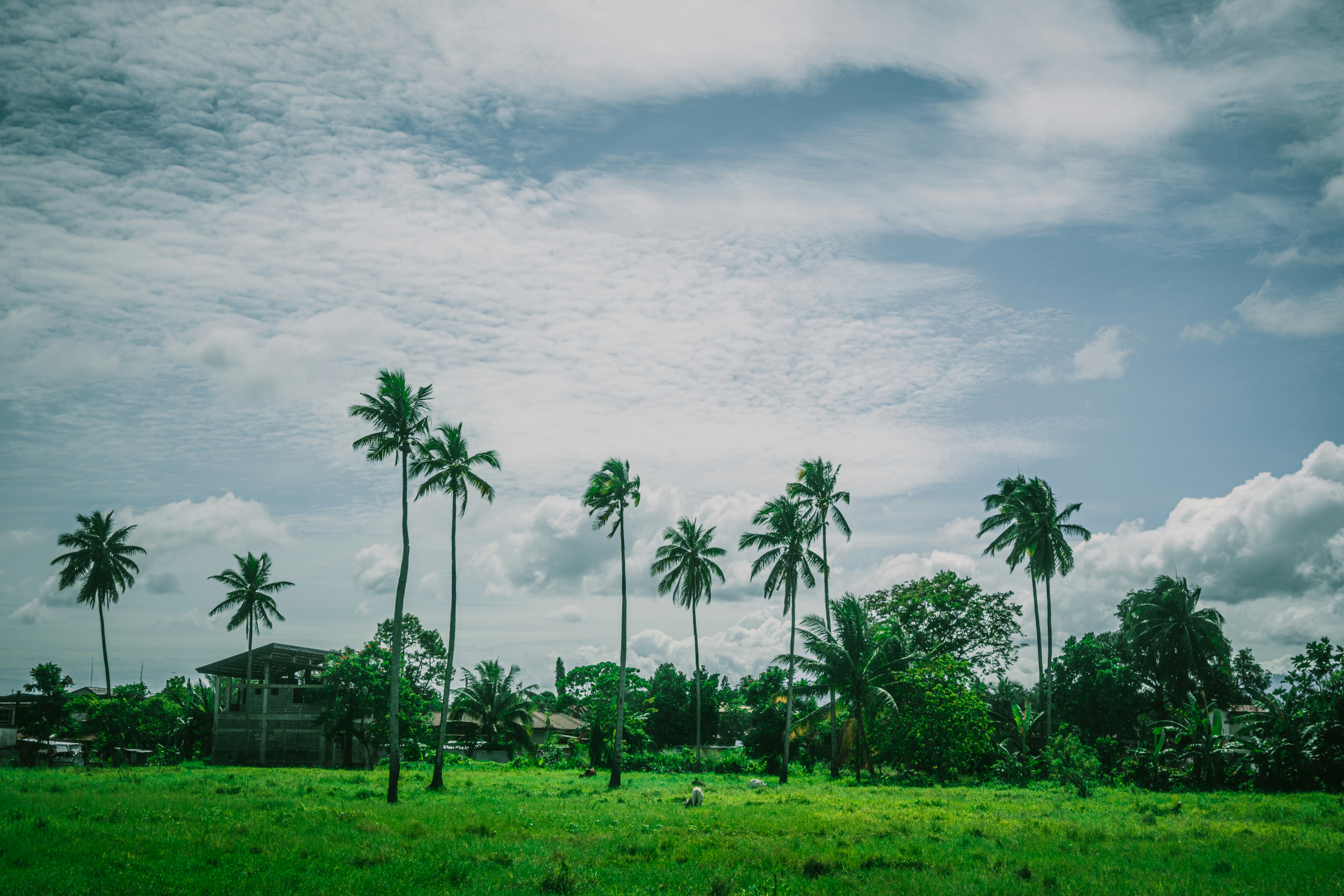 Photo by itadakidesu