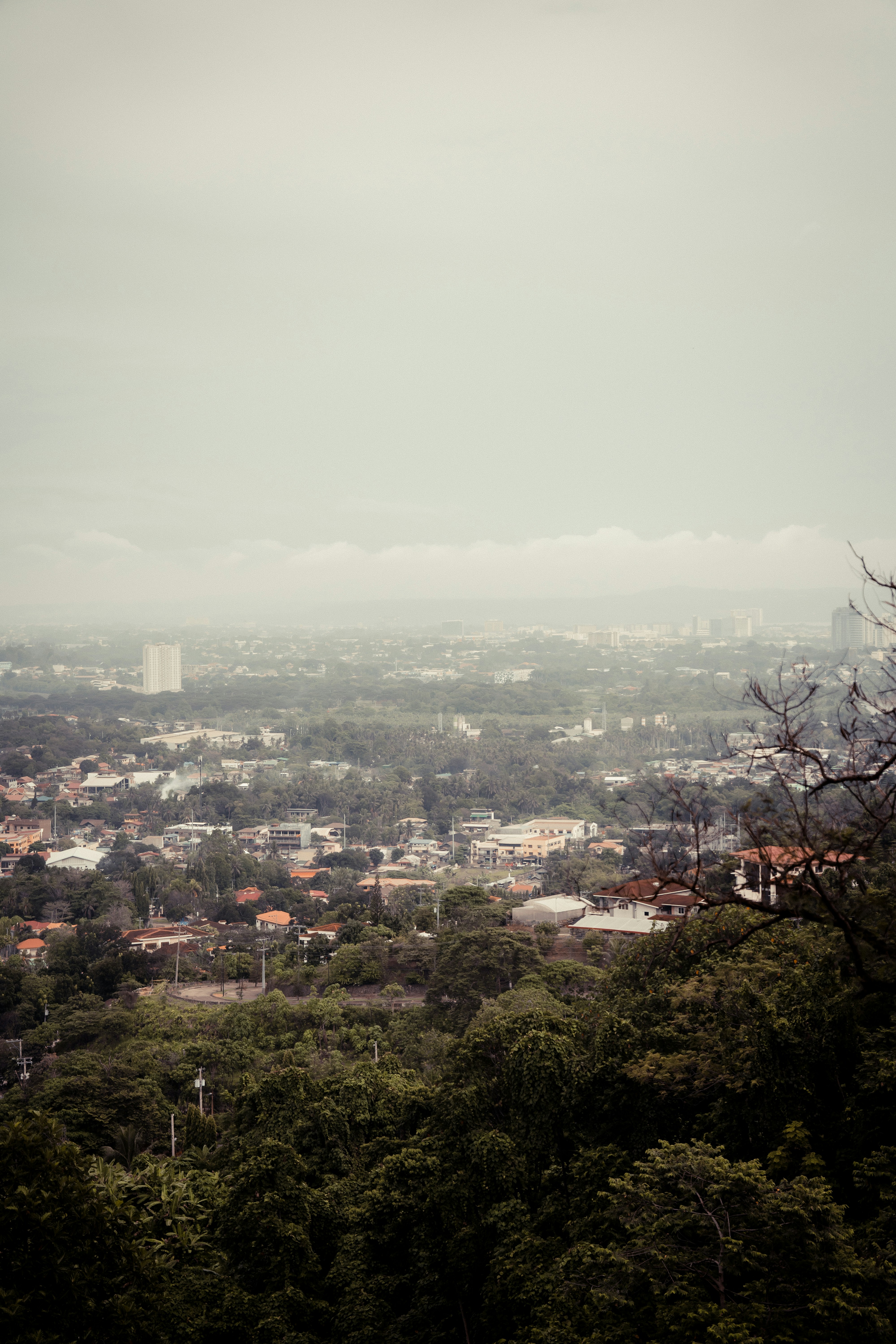 Photo by itadakidesu