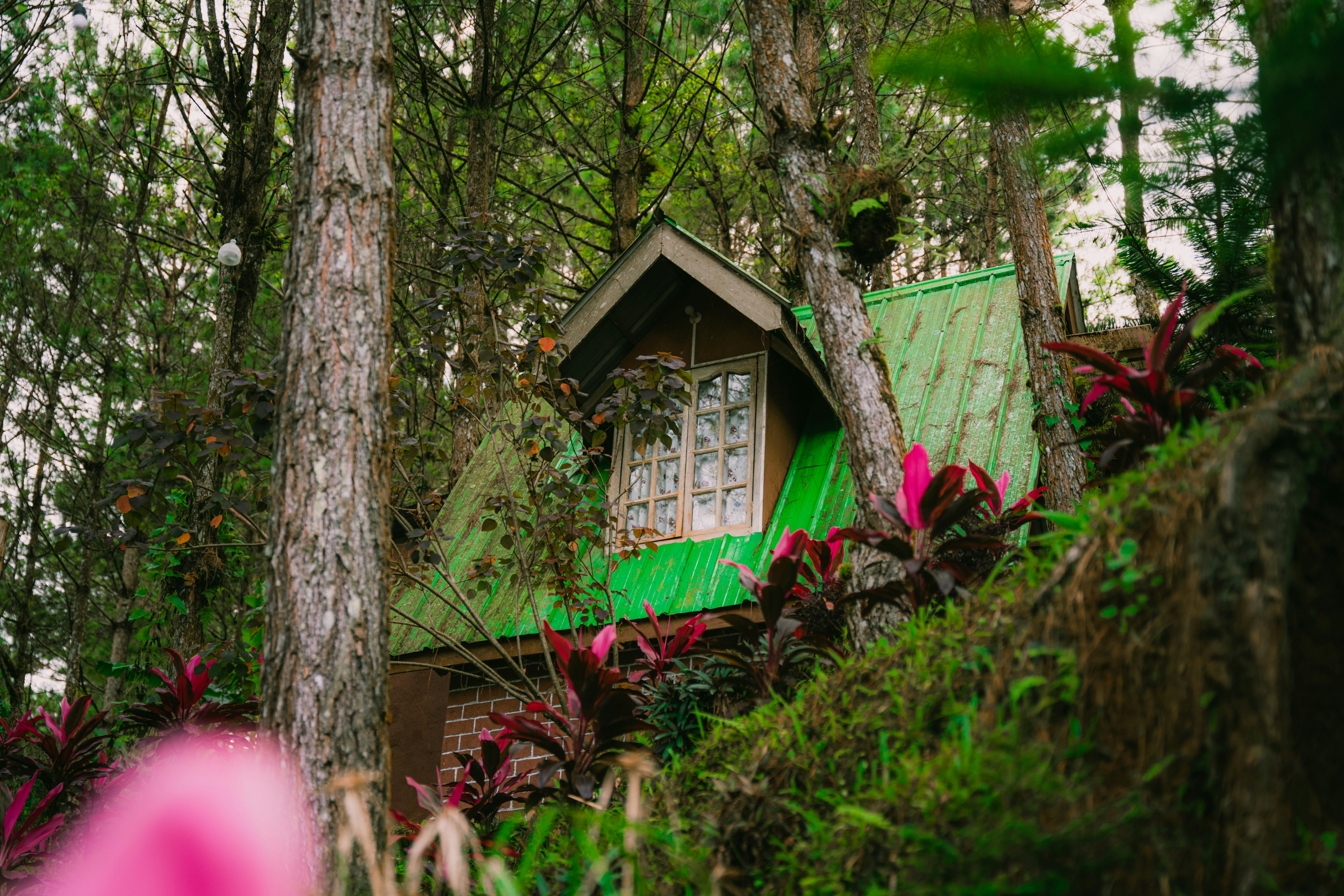 9 Wi-Fi Friendly Jungle Cabins in South America’s Hidden Destinations