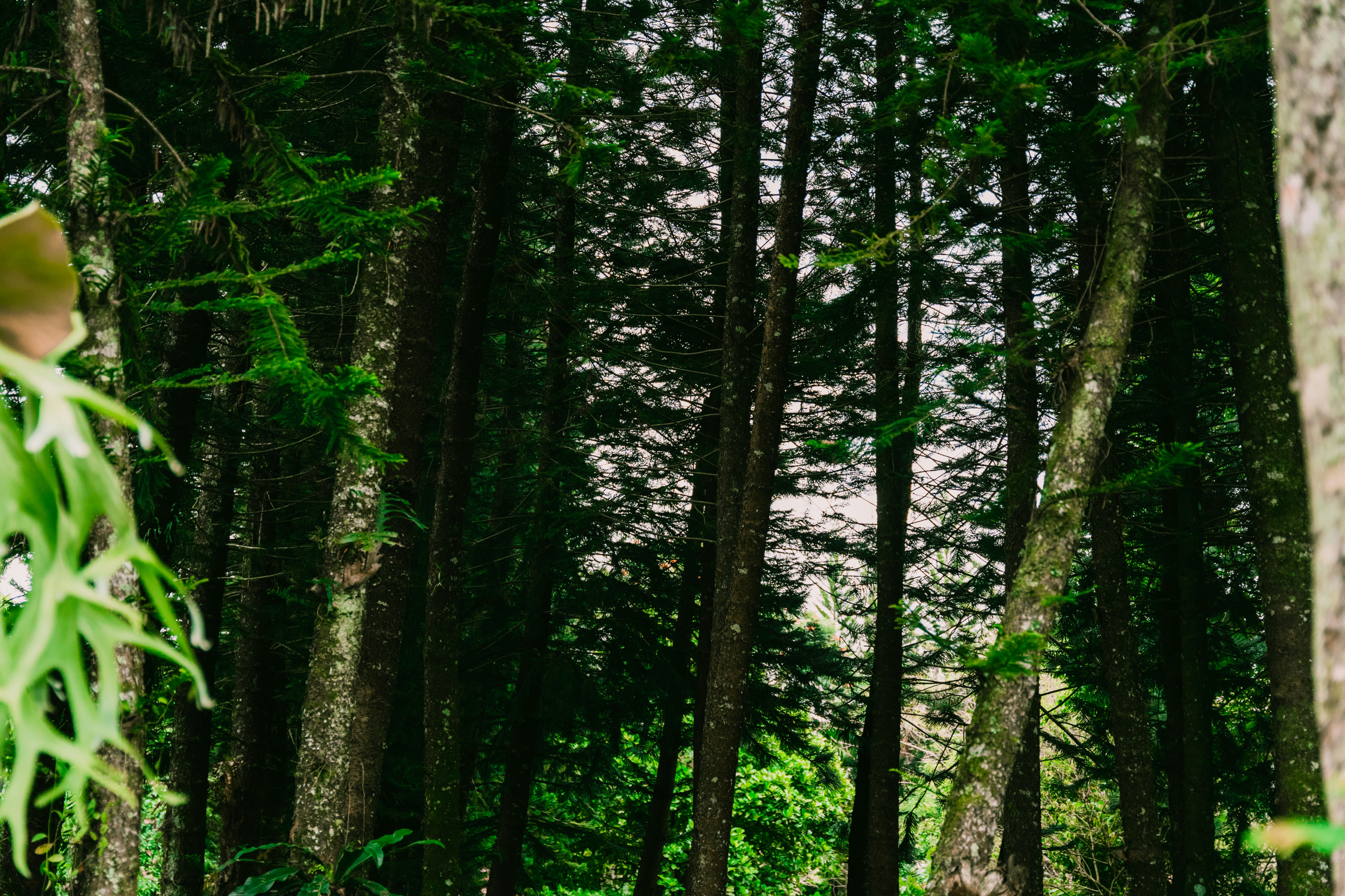 Photo by itadakidesu