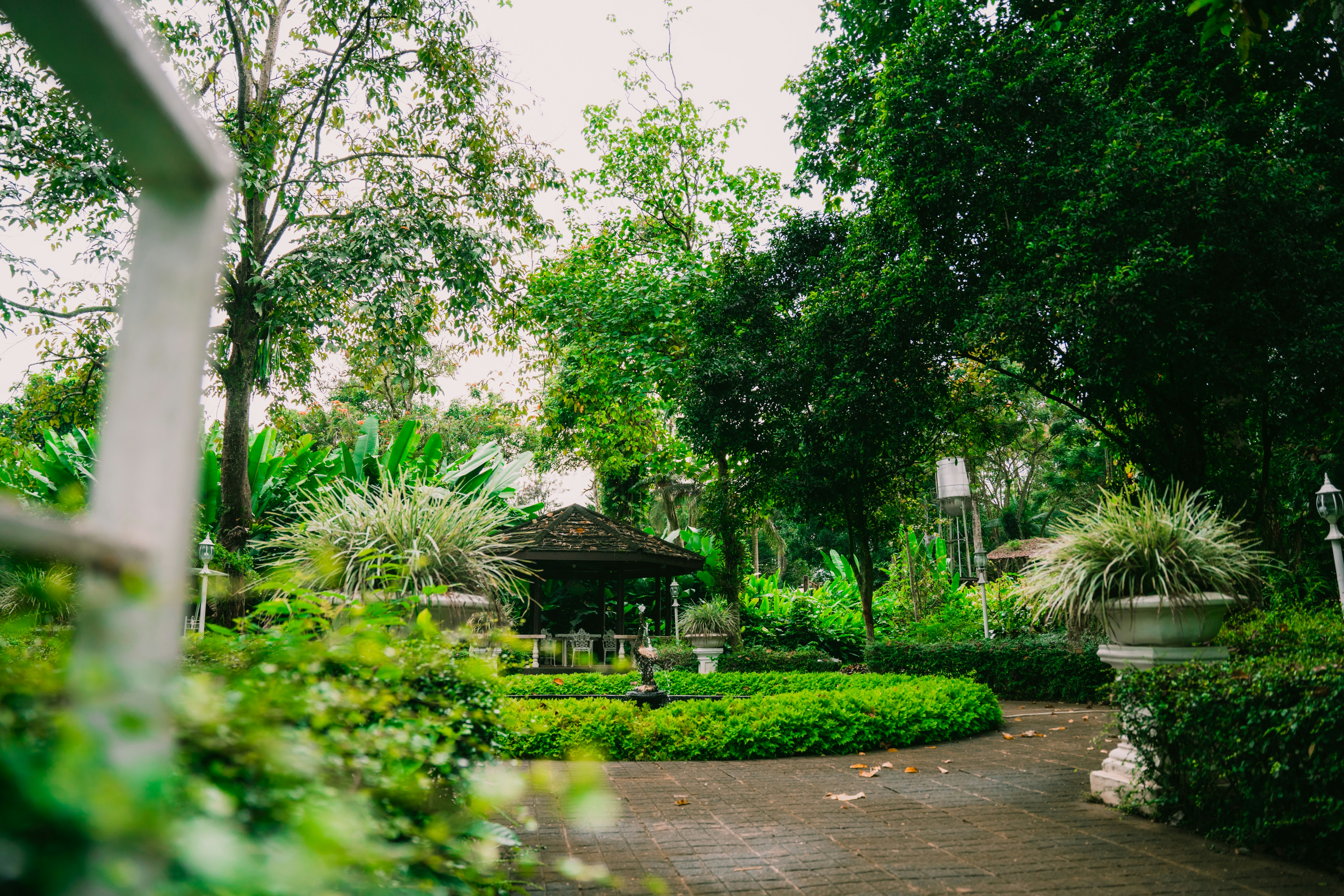 Photo by itadakidesu