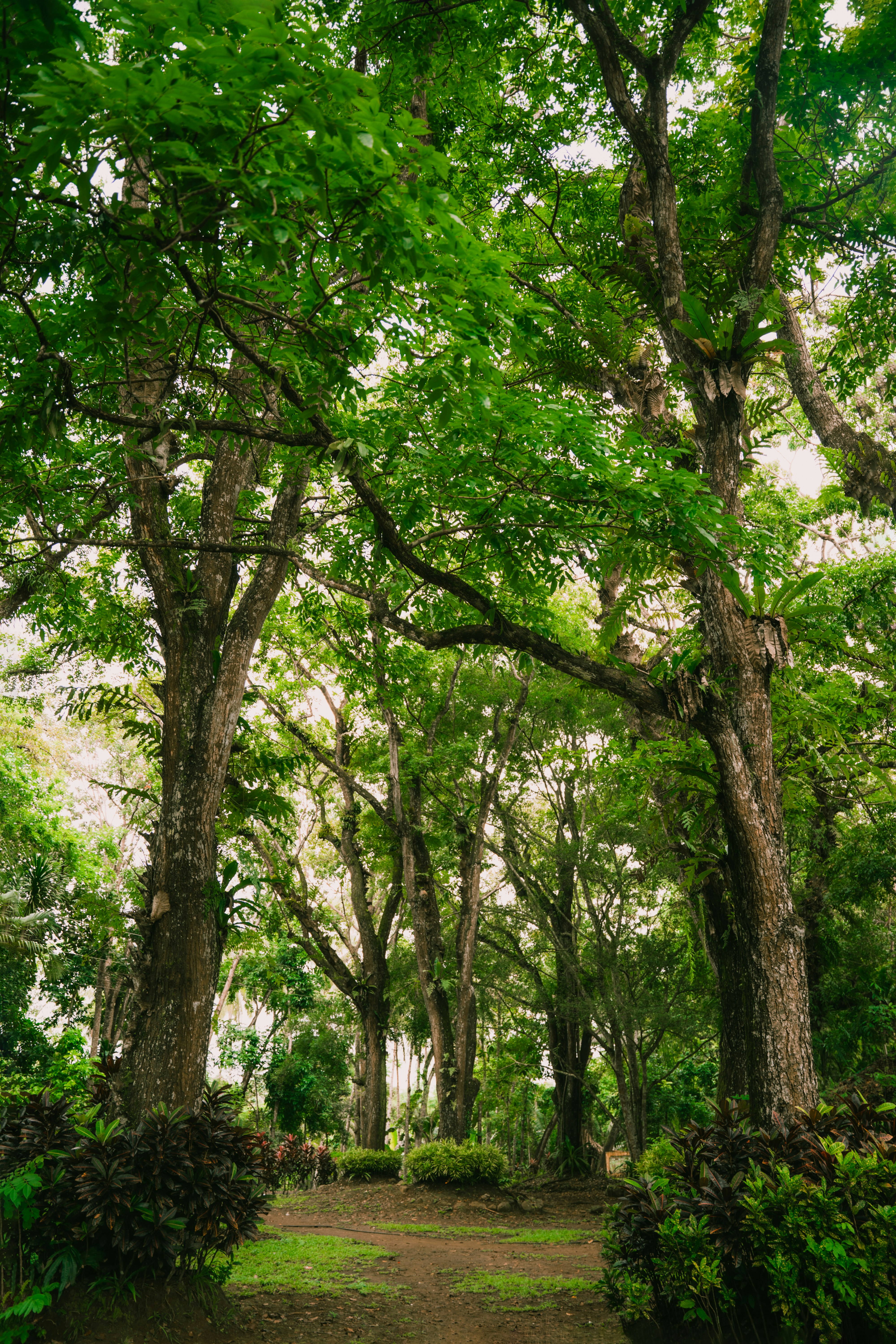 Photo by itadakidesu