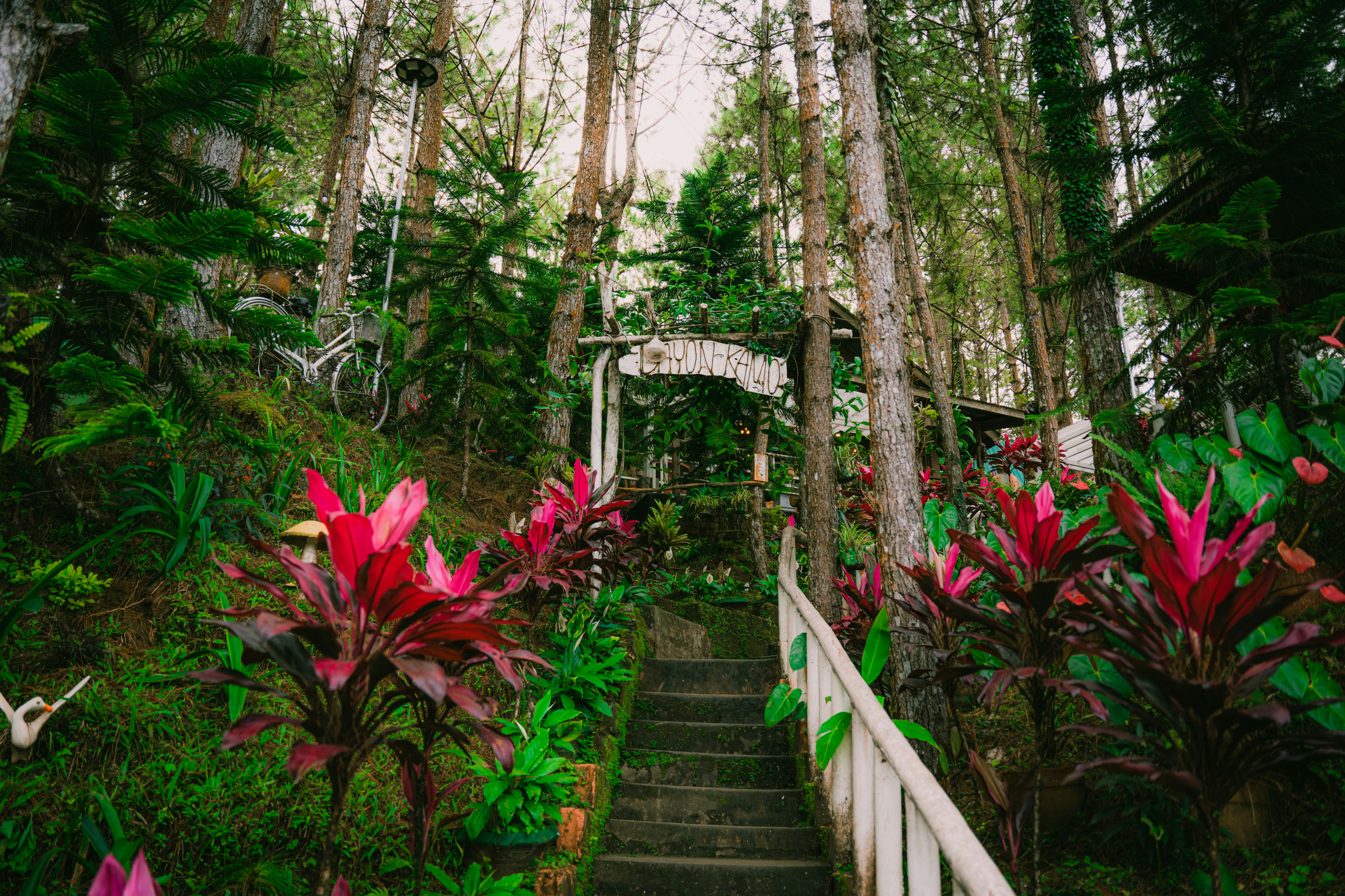 Photo by itadakidesu