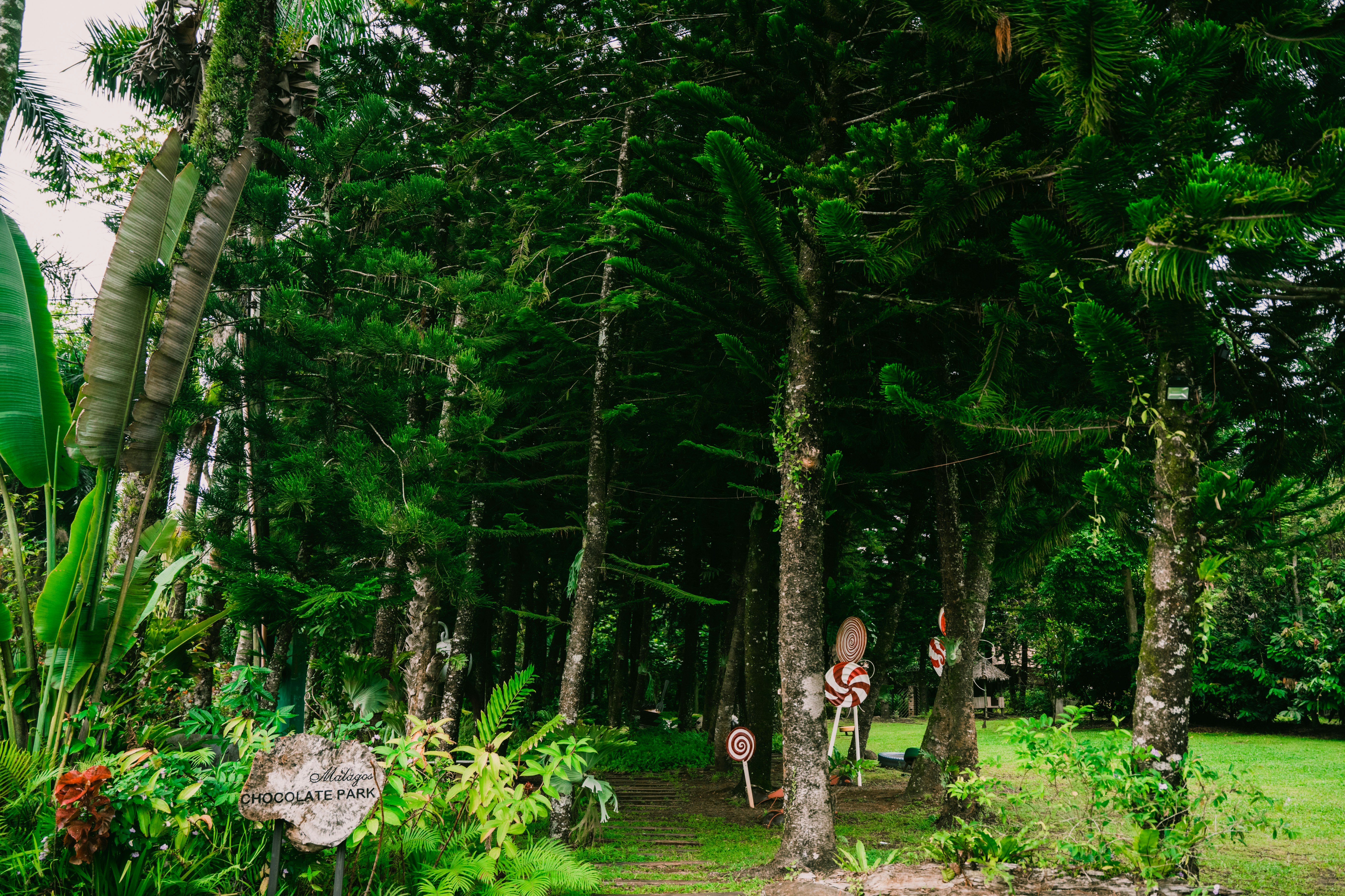 Photo by itadakidesu