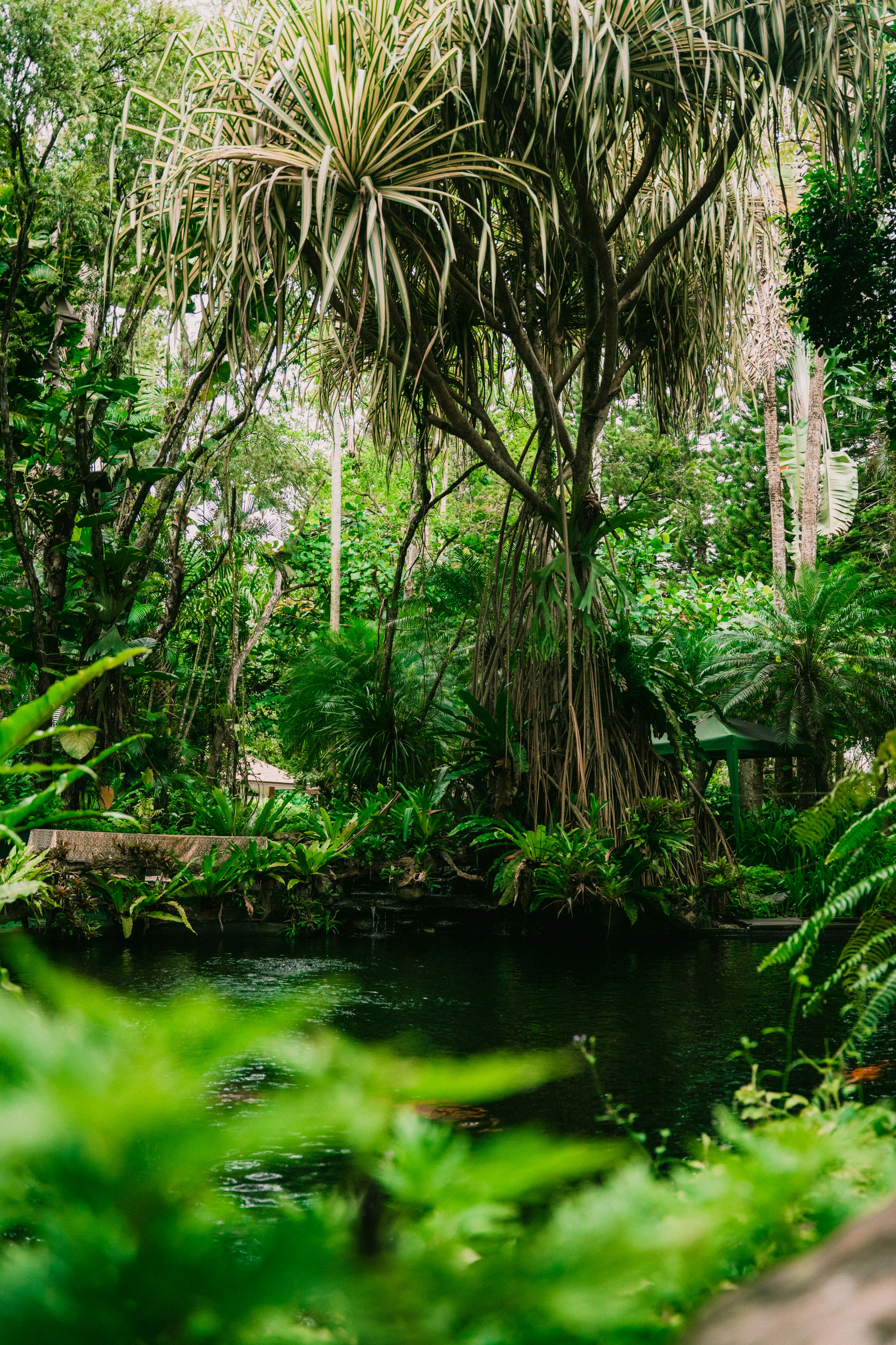 Photo by itadakidesu