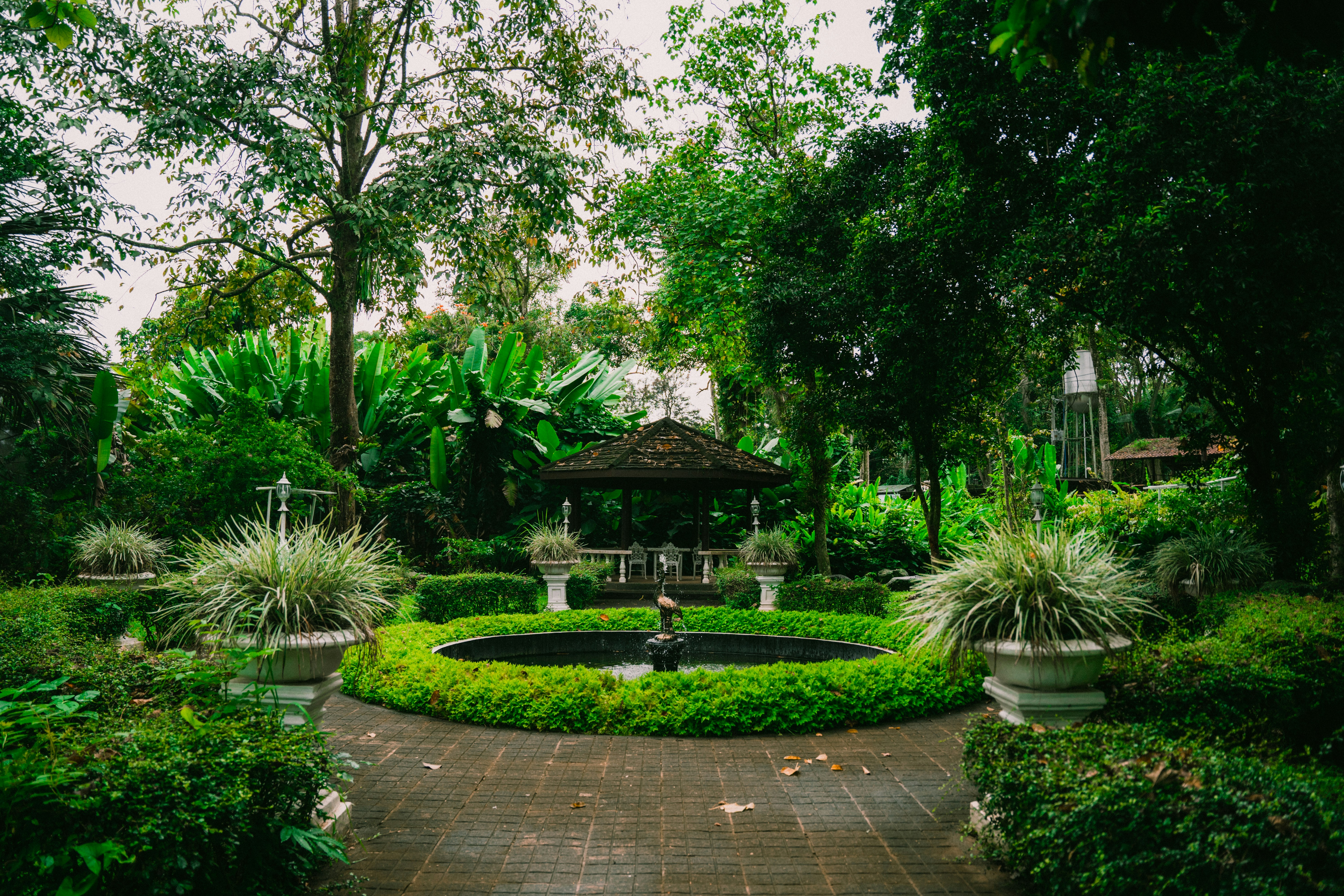 Photo by itadakidesu