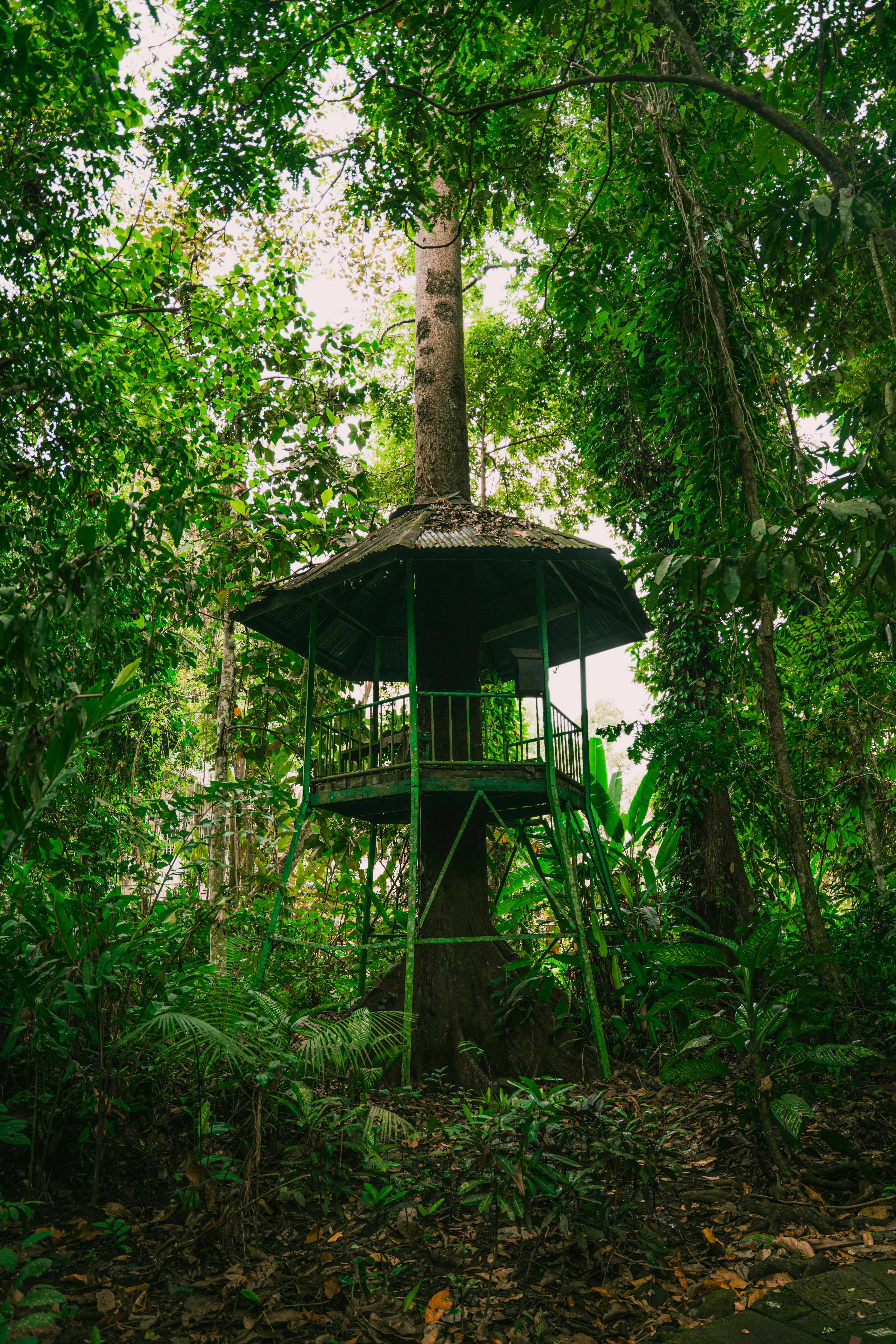 Photo by itadakidesu