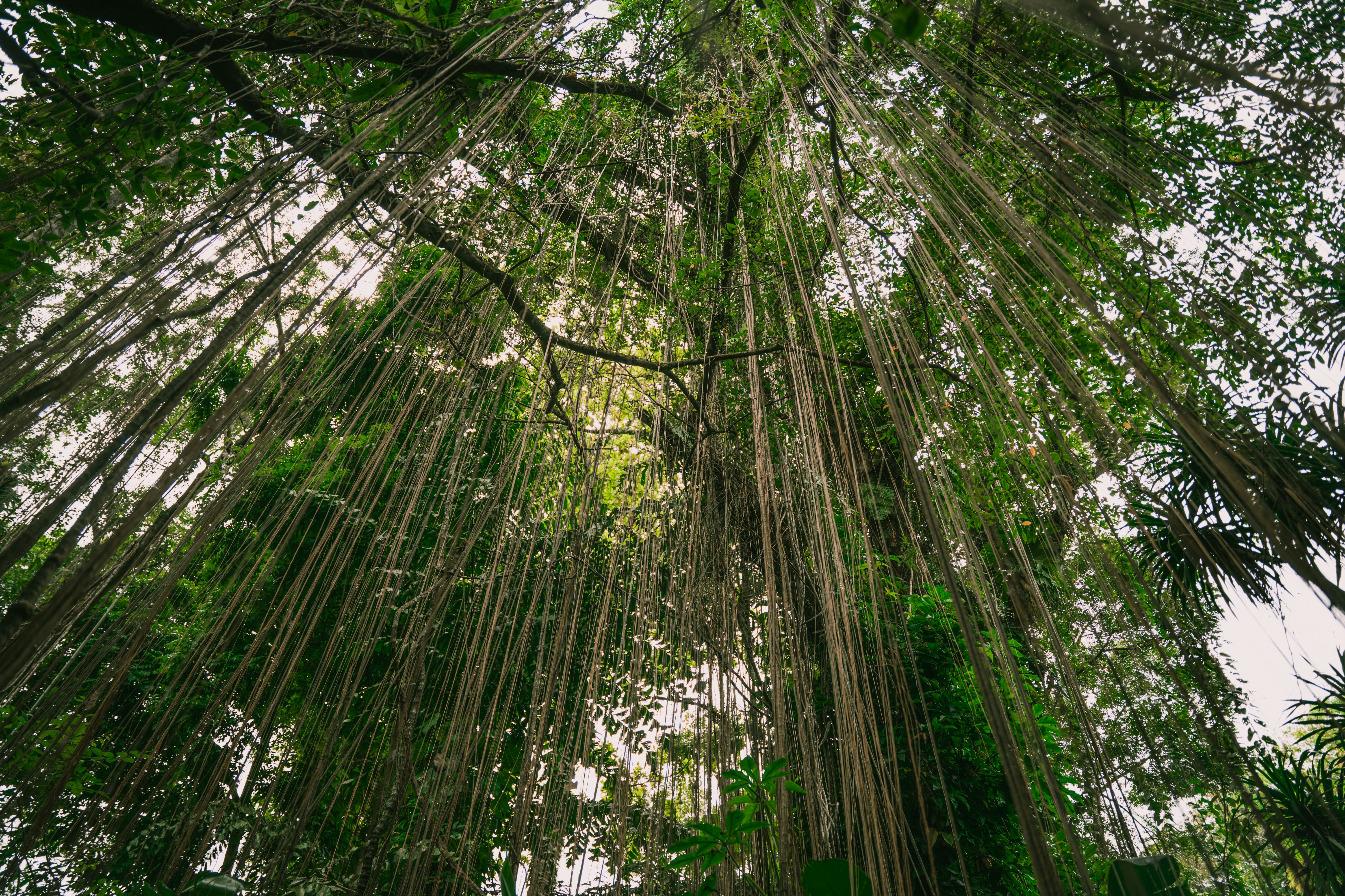 Photo by itadakidesu