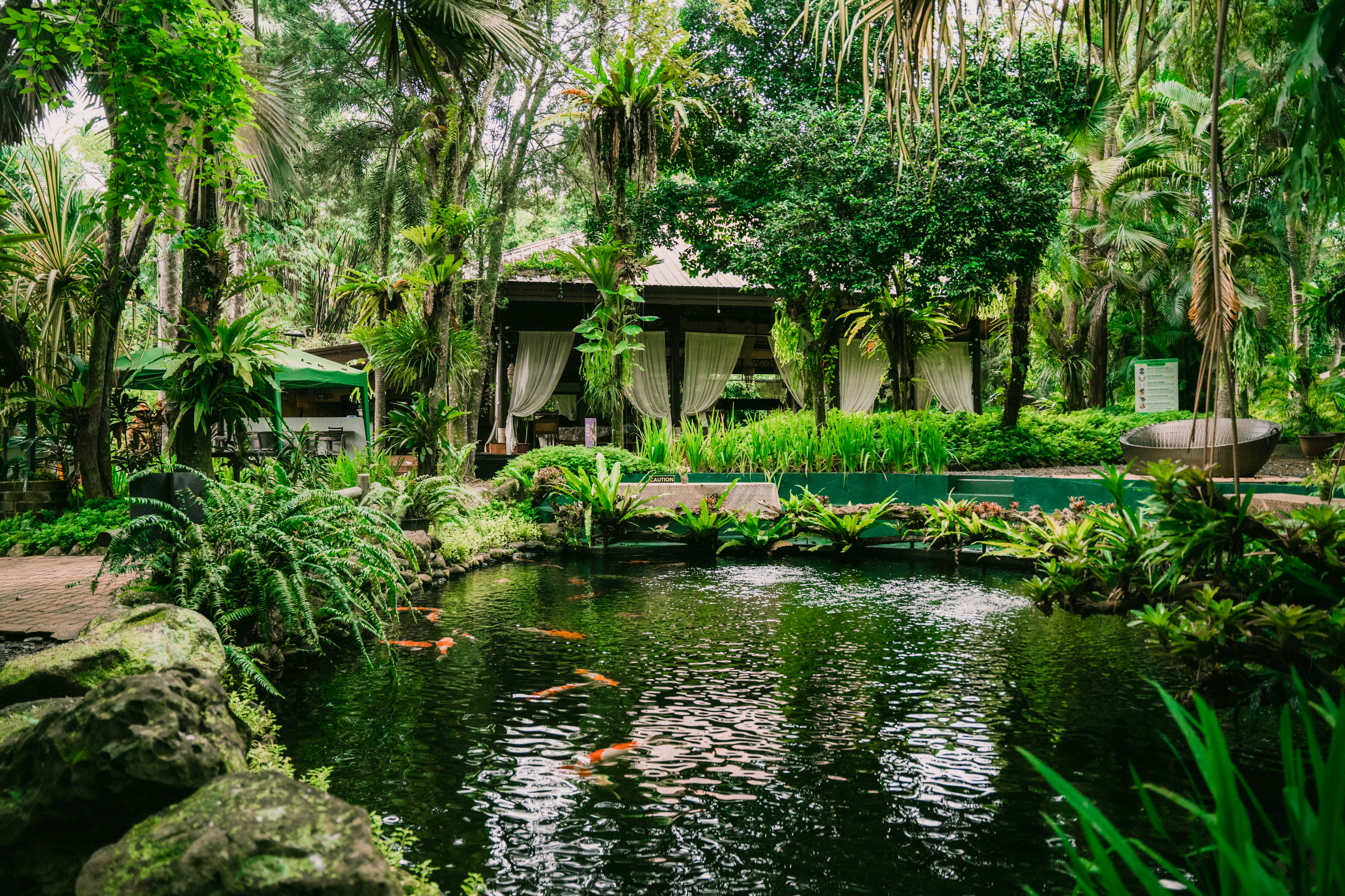 Photo by itadakidesu