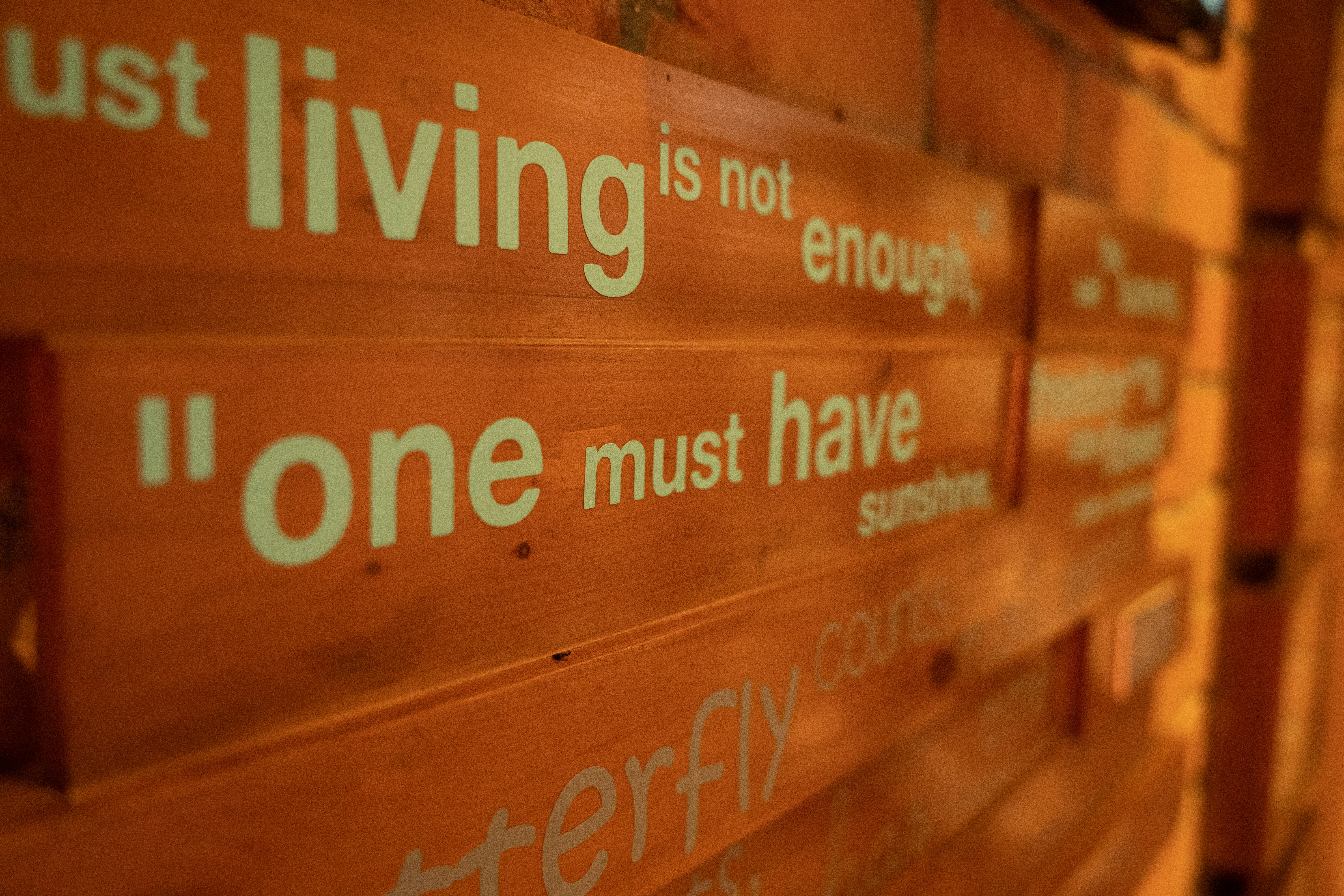 Henry David Thoreau Quotes to Transform Your Life Today