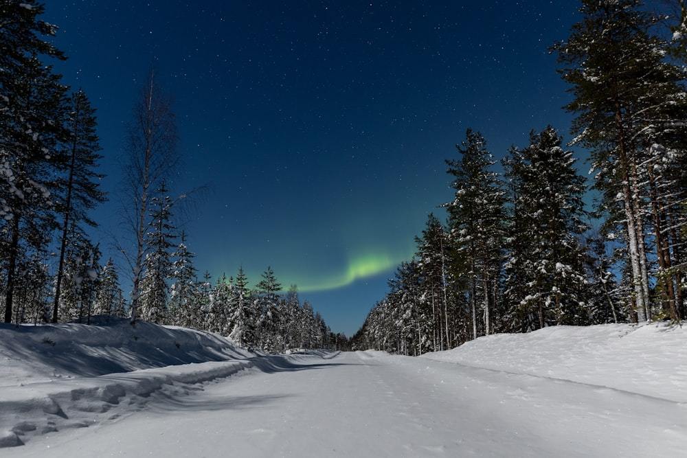 the aurora bore is visible in the sky above a snowy road