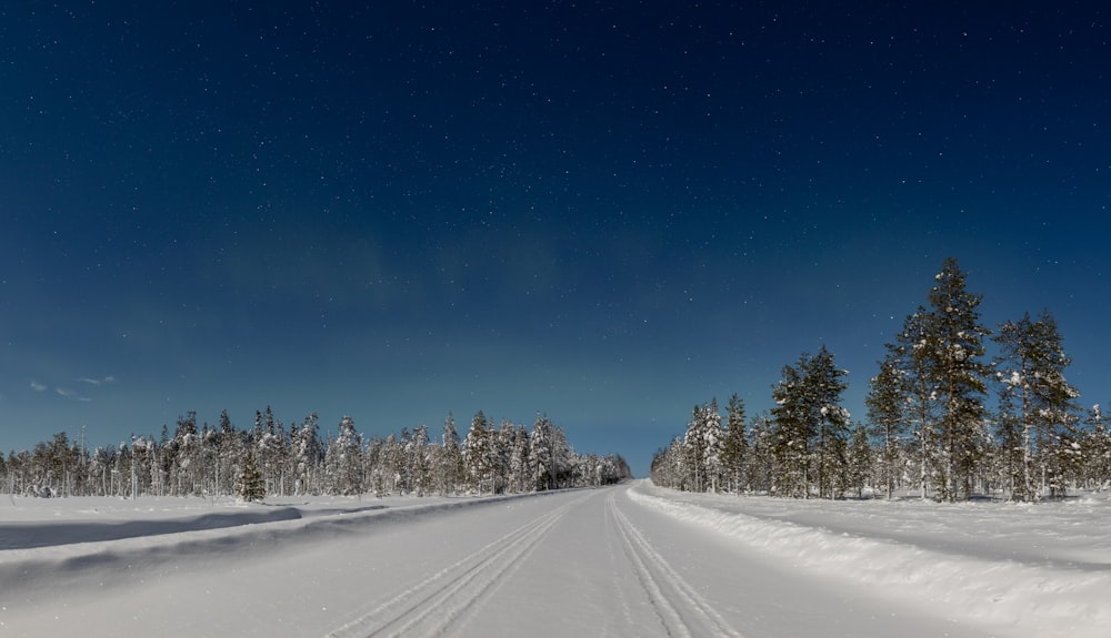 a snow covered road surrounded by trees under a blue sky