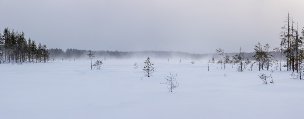 a snow covered field with trees in the distance