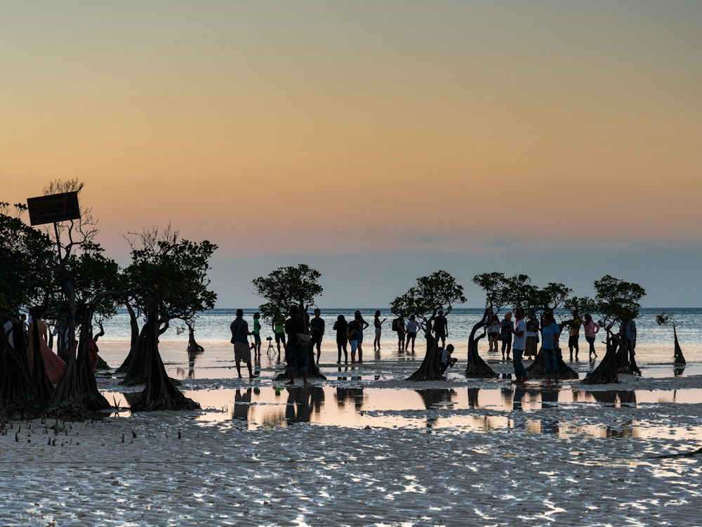 a group of people standing on top of a sandy beach