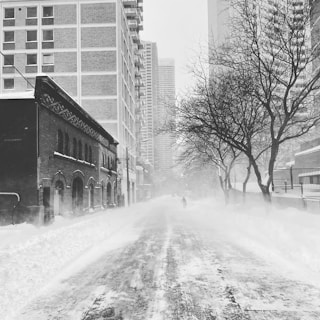a black and white photo of a snowy street