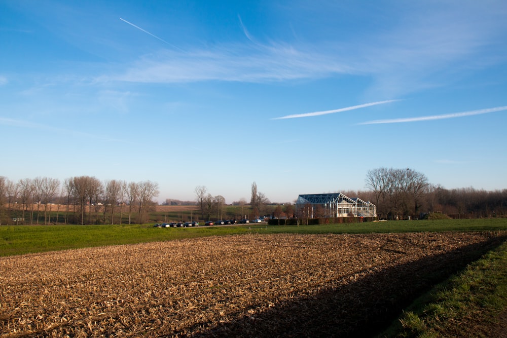 a large field with a house in the distance