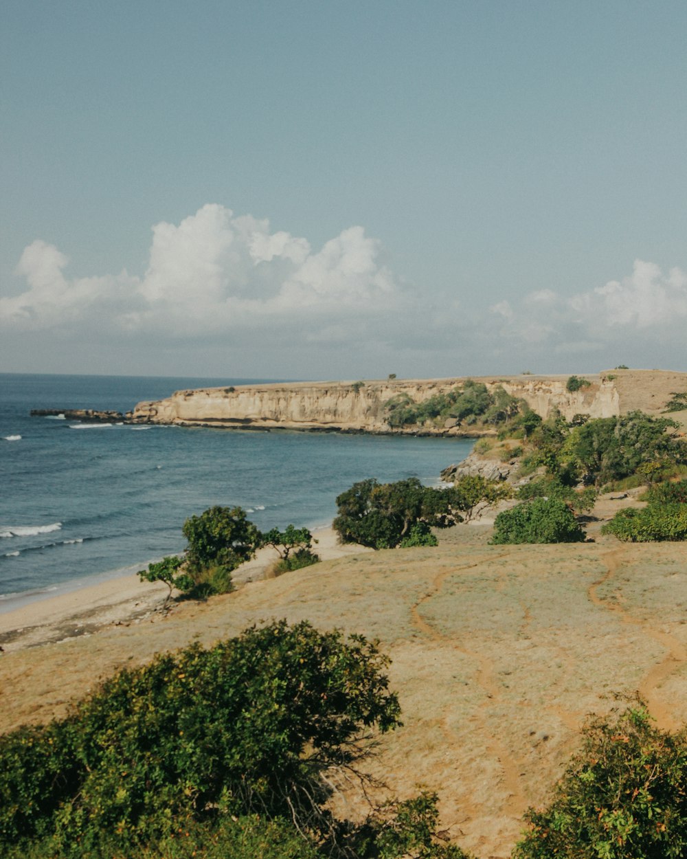 a view of the ocean from a hill