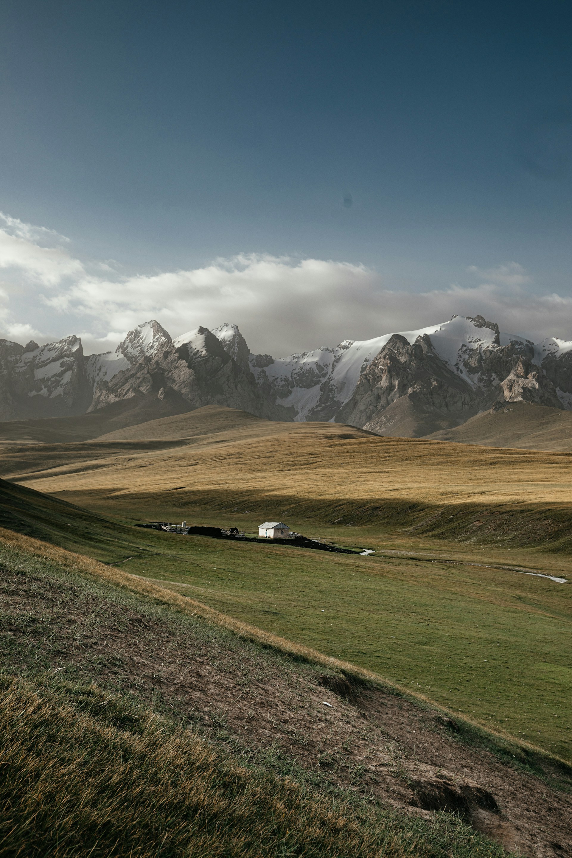 a grassy field with mountains in the background