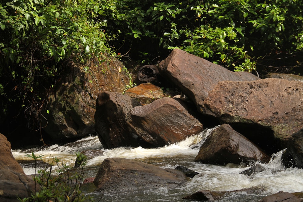 a stream of water surrounded by rocks and trees