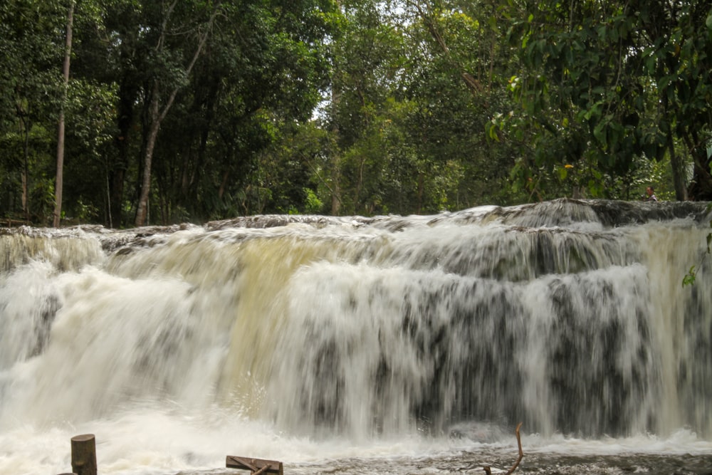 a large waterfall in the middle of a forest