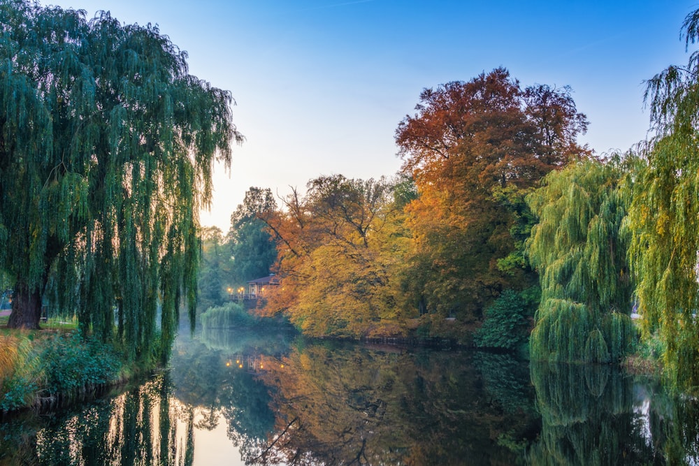 a lake surrounded by trees in a park