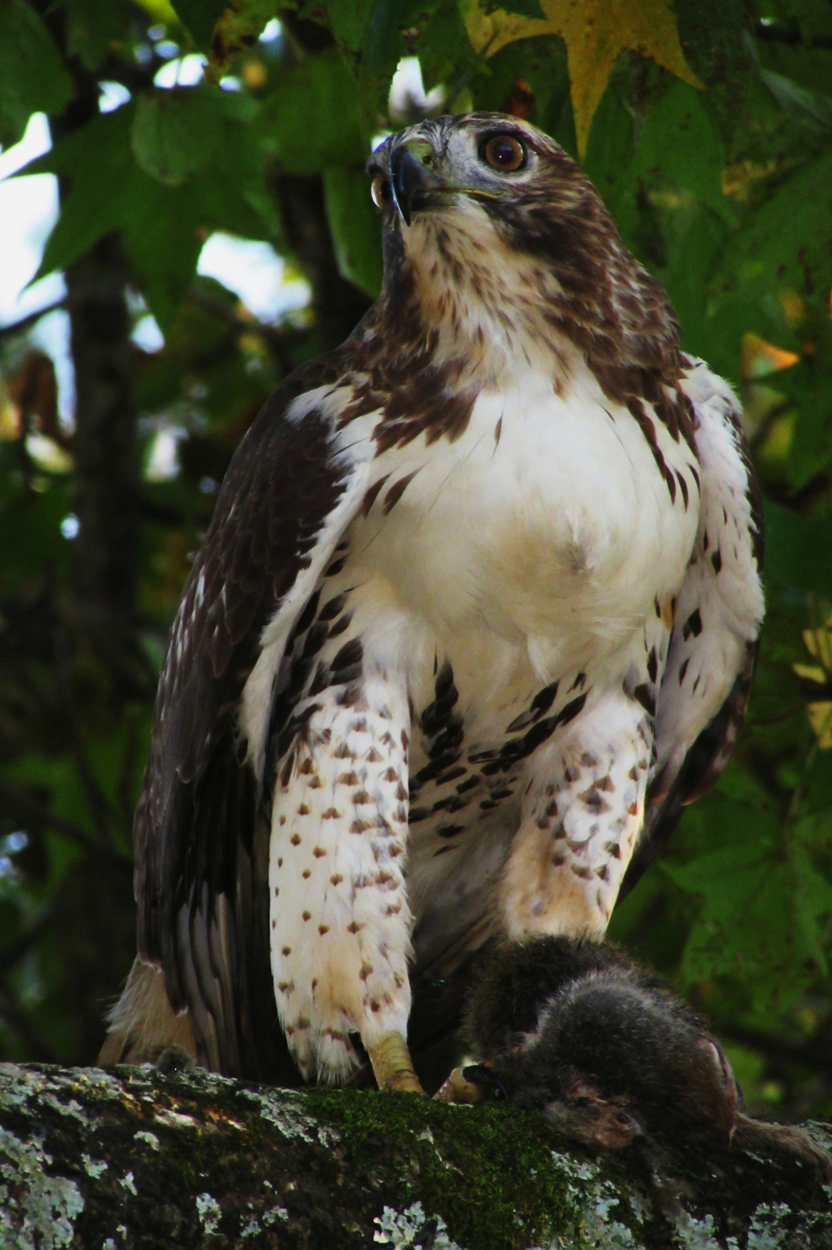 Photo by salinass1234