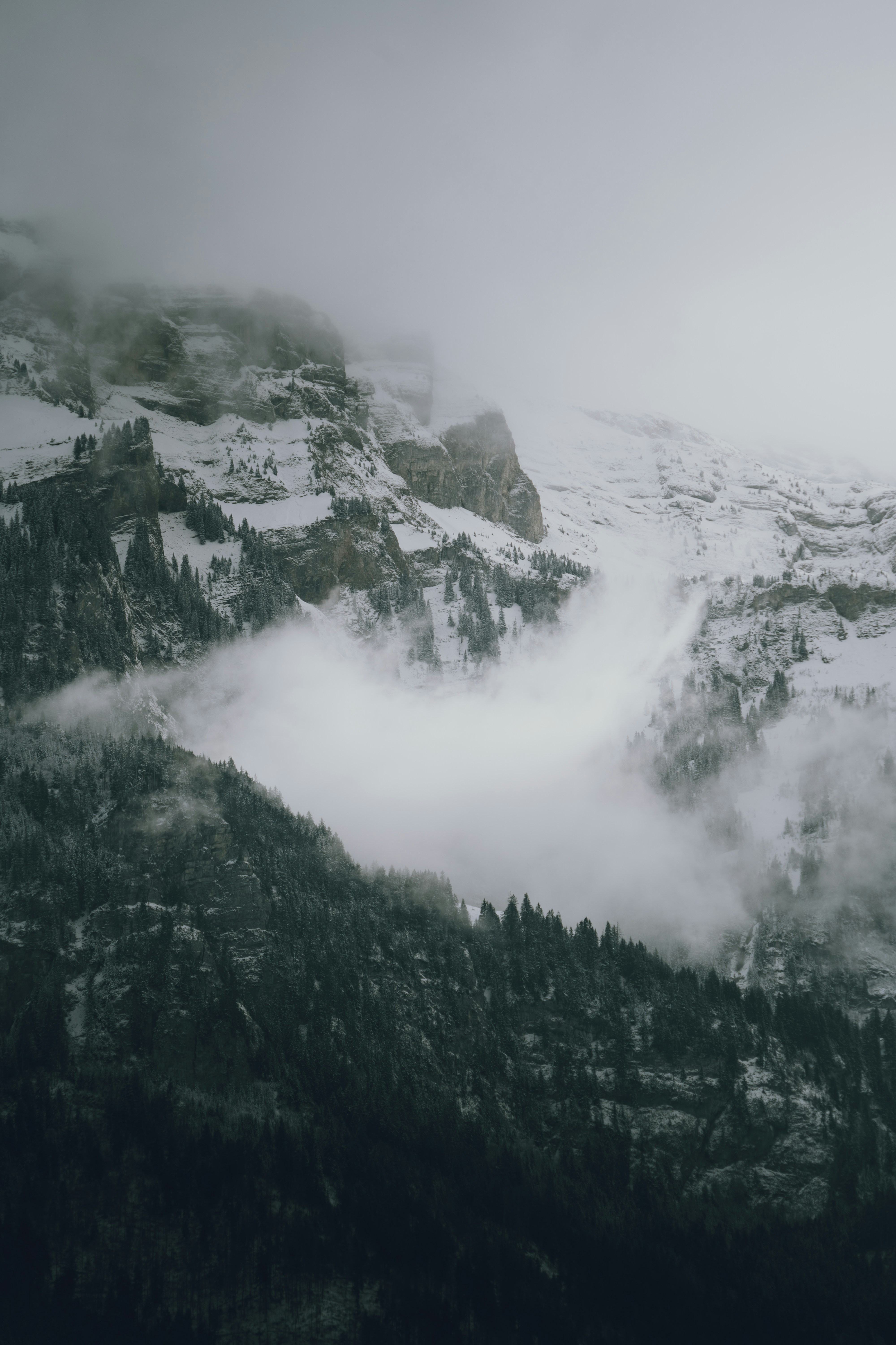 Photo by benaja_photos