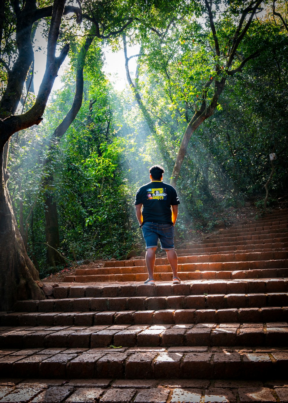 a man walking up some steps in the woods