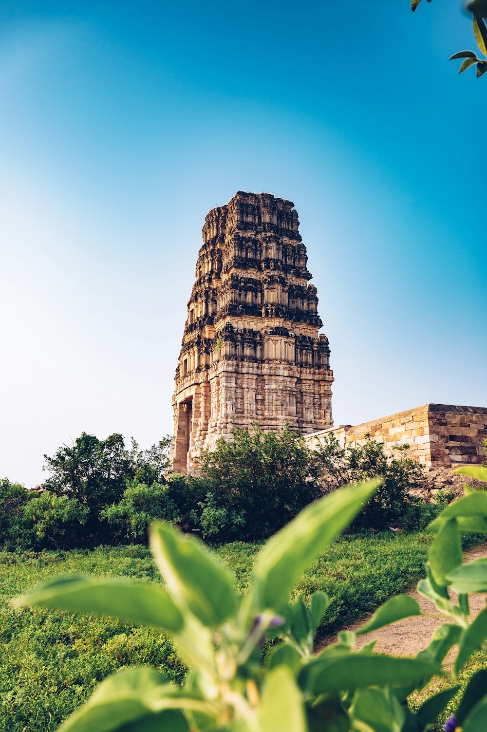 a very tall tower sitting in the middle of a lush green field