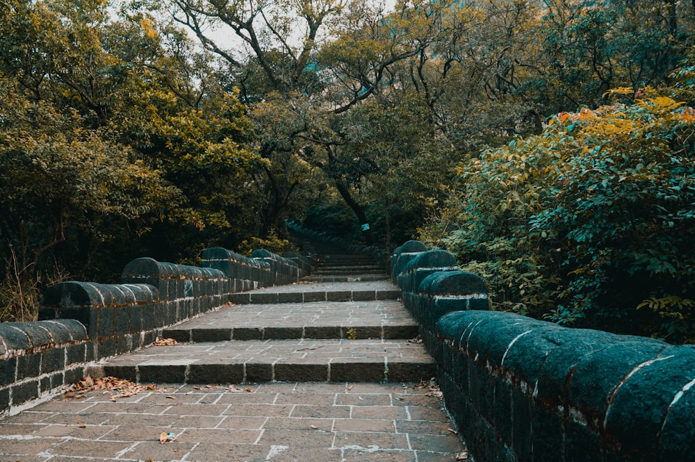 a stone path with steps leading up to trees