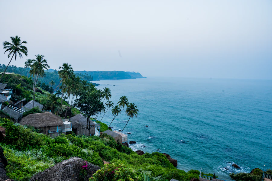 Thatched huts on a cliff above a South Goa cove