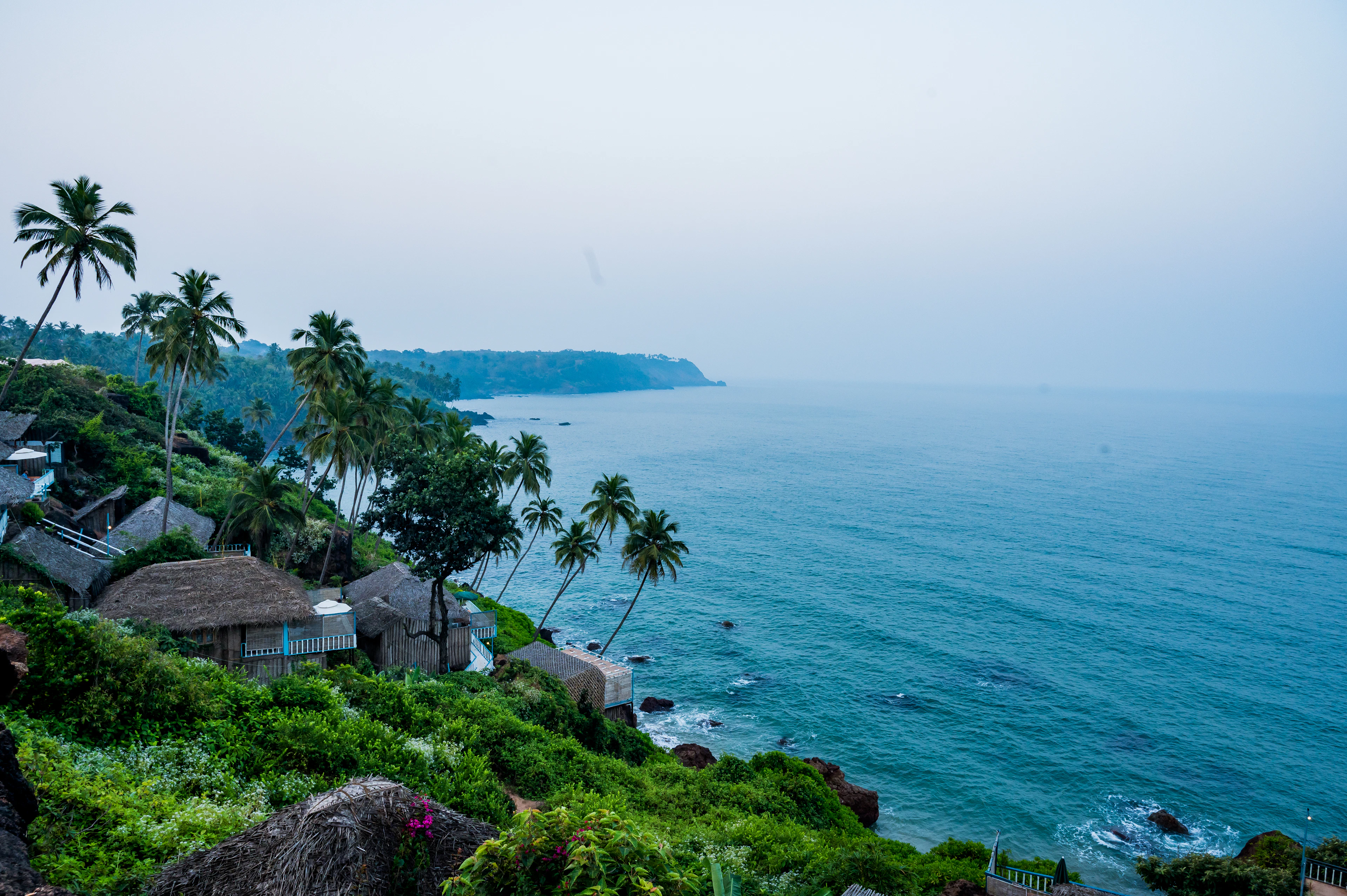 Palms on a green clifftop above the Arabian Sea, Goa